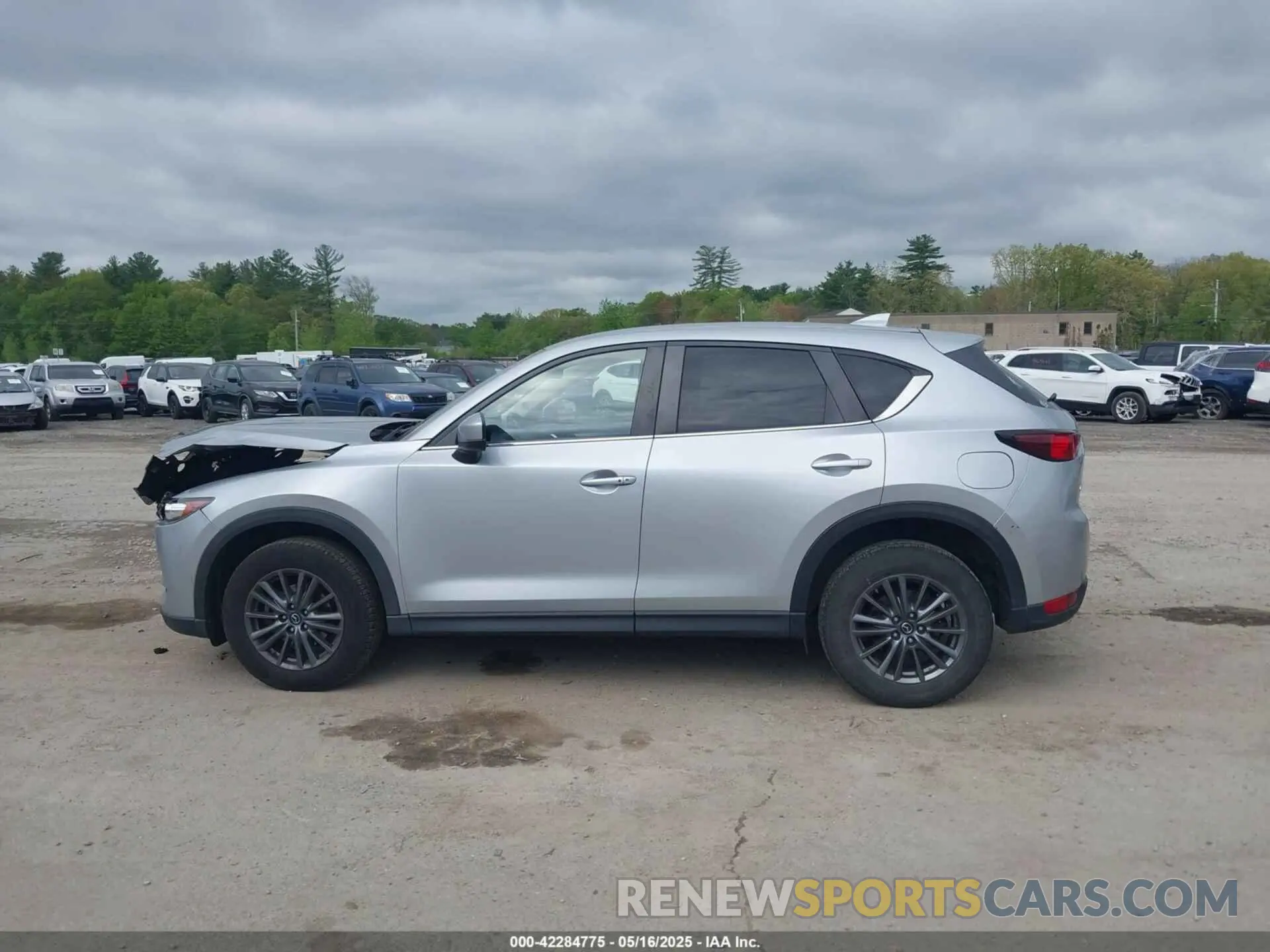 14 Photograph of a damaged car JM3KFACM9K1544187 MAZDA CX-5 2019