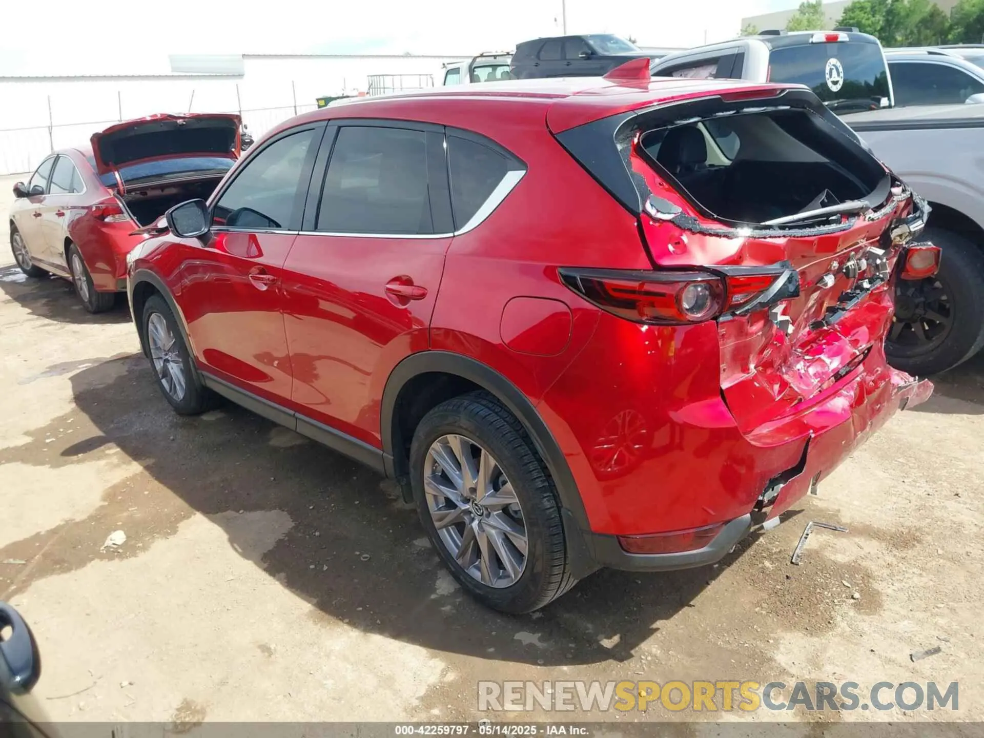 14 Photograph of a damaged car JM3KFADM6K1646190 MAZDA CX-5 2019
