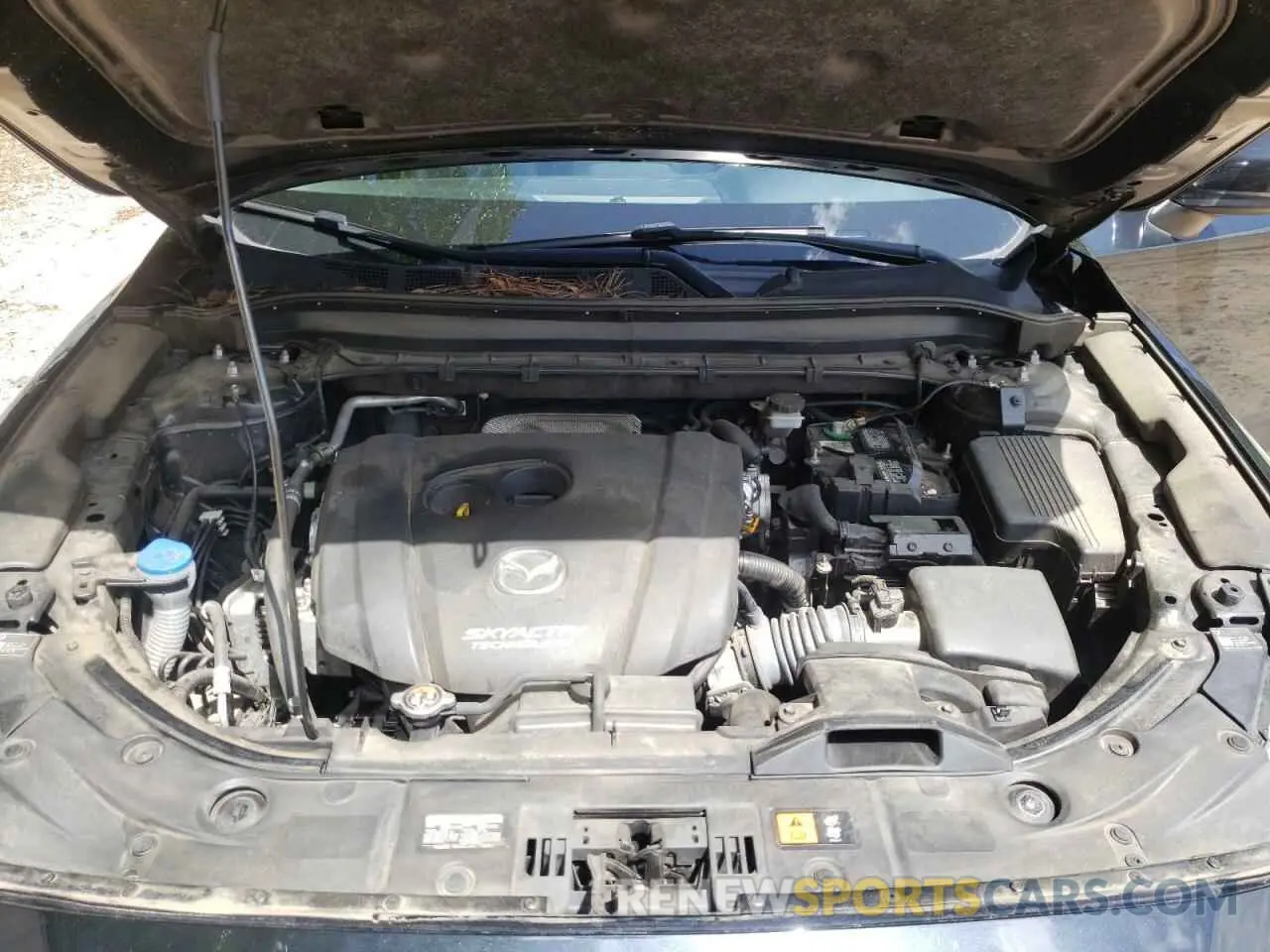 12 Photograph of a damaged car JM3KFADM9K0608894 MAZDA CX-5 2019