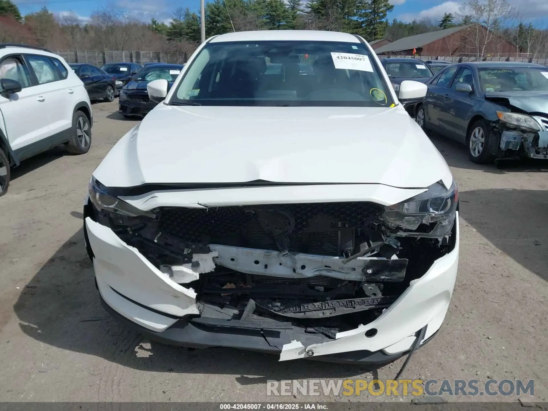 12 Photograph of a damaged car JM3KFBBM8K0667329 MAZDA CX-5 2019