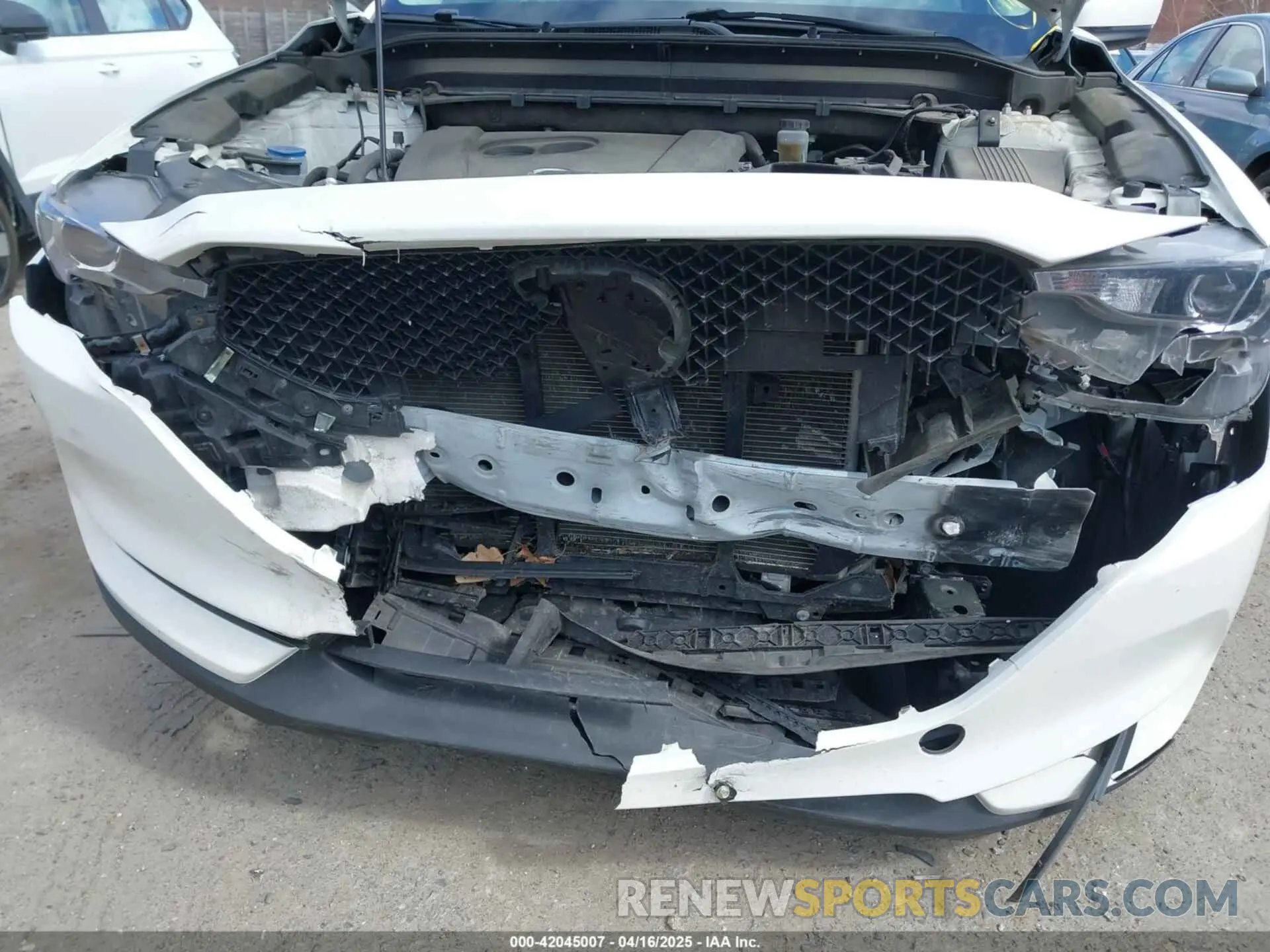 17 Photograph of a damaged car JM3KFBBM8K0667329 MAZDA CX-5 2019