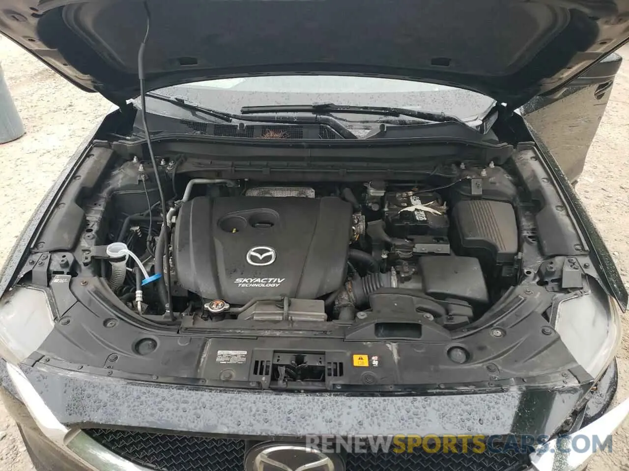 12 Photograph of a damaged car JM3KFBCM0K0557373 MAZDA CX-5 2019