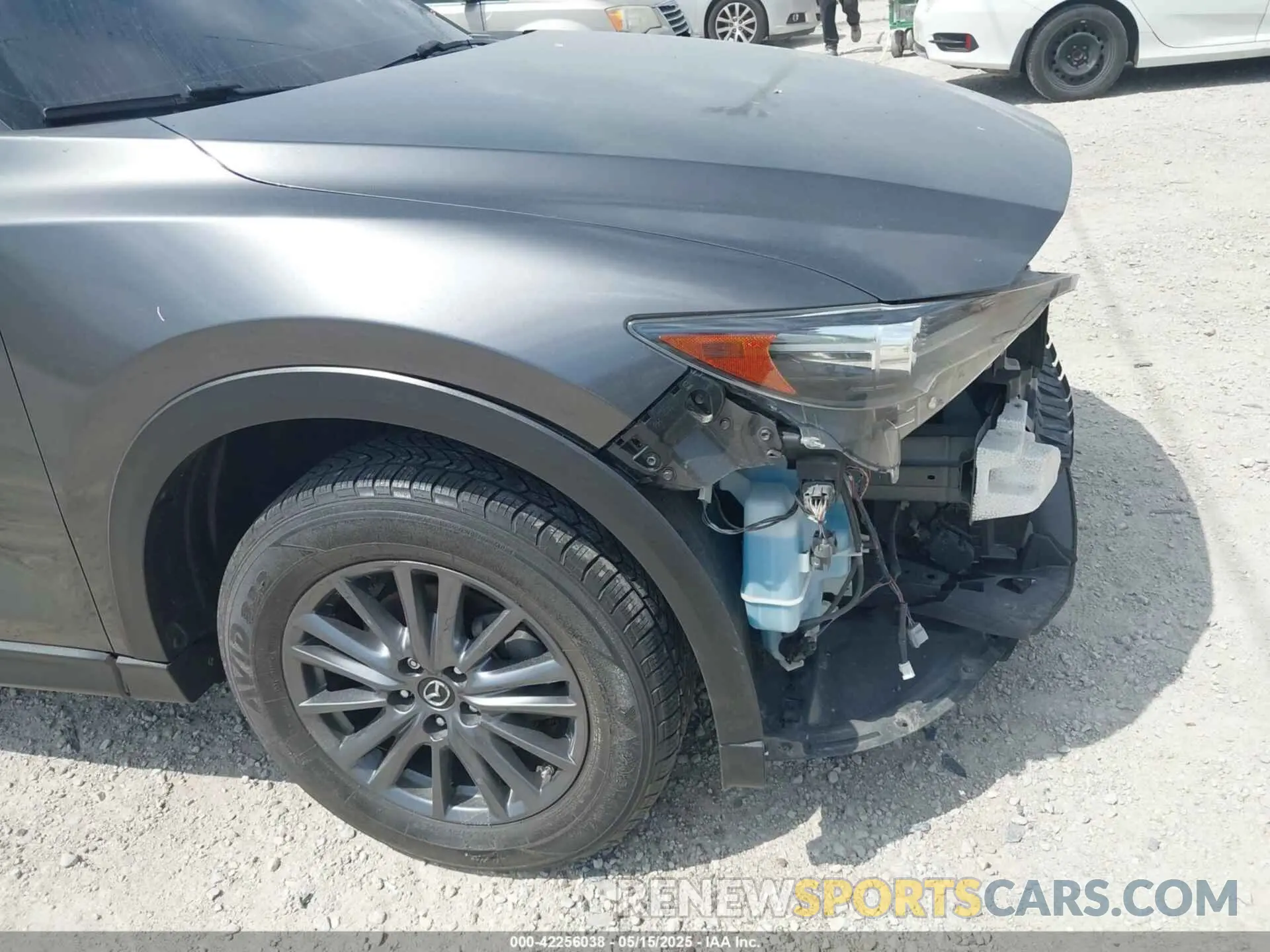 19 Photograph of a damaged car JM3KFBCM1K1639378 MAZDA CX-5 2019