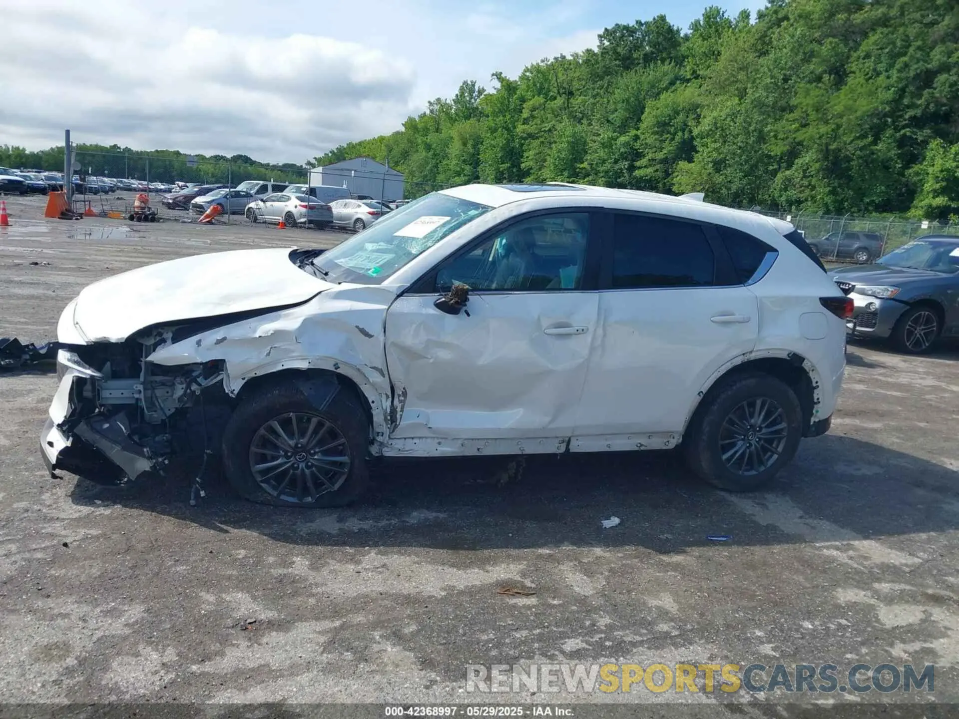 13 Photograph of a damaged car JM3KFBCM6K0574405 MAZDA CX-5 2019