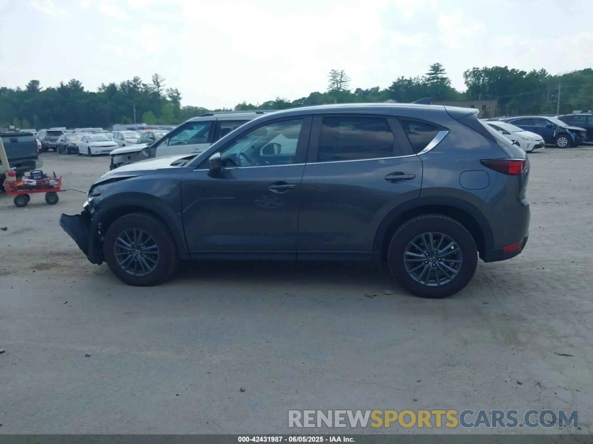 14 Photograph of a damaged car JM3KFBCM9K0650442 MAZDA CX-5 2019