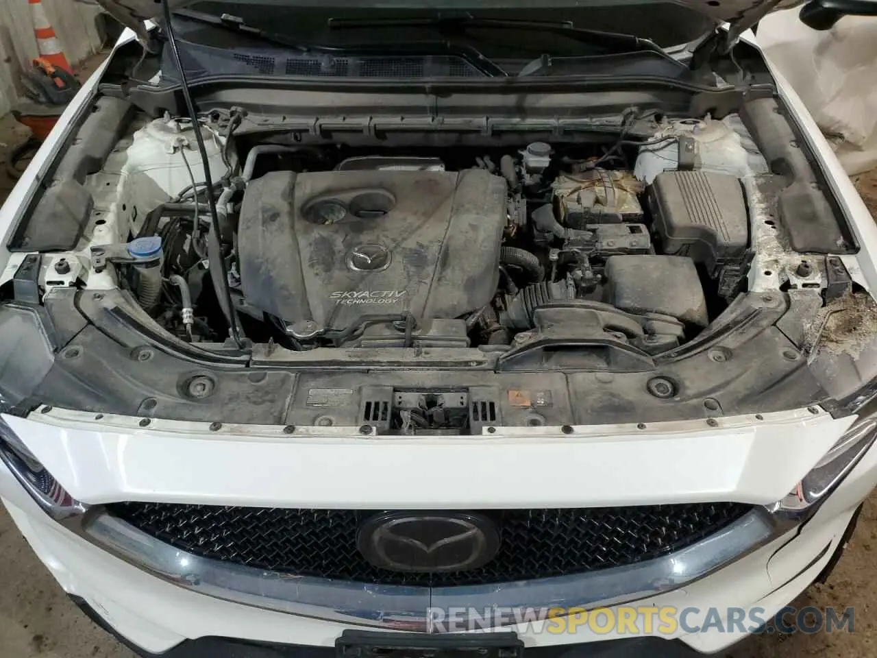 13 Photograph of a damaged car JM3KFBCMXK0591143 MAZDA CX-5 2019