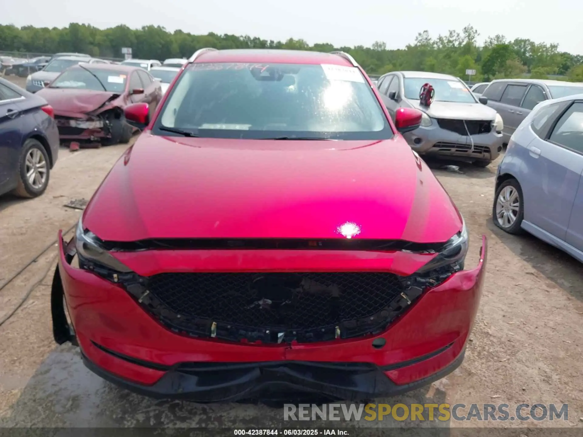 12 Photograph of a damaged car JM3KFBDM1K0531993 MAZDA CX-5 2019