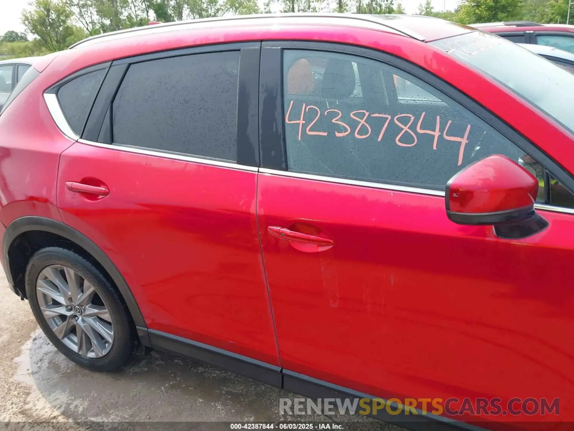 13 Photograph of a damaged car JM3KFBDM1K0531993 MAZDA CX-5 2019
