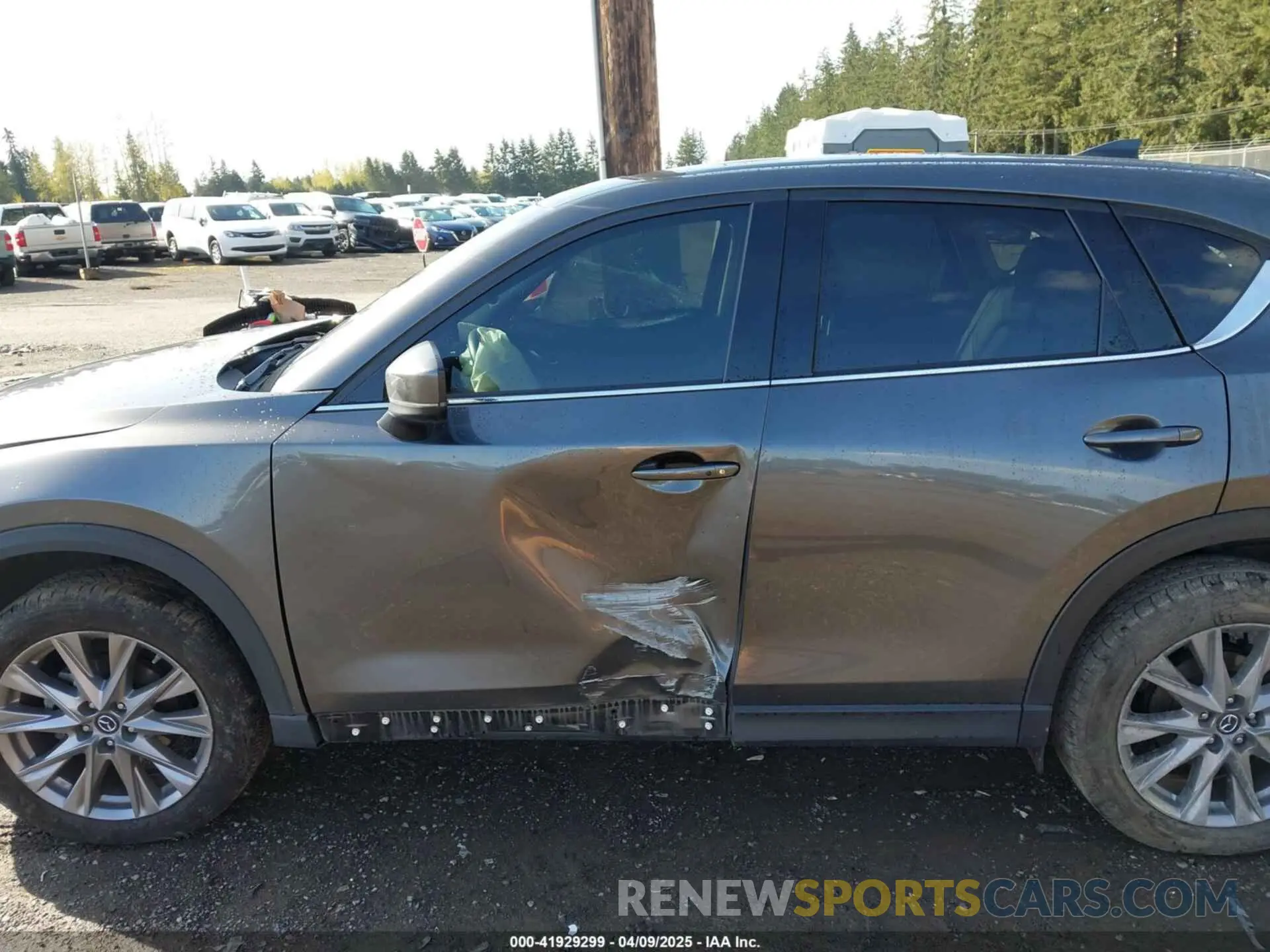 14 Photograph of a damaged car JM3KFBDM3K1677208 MAZDA CX-5 2019