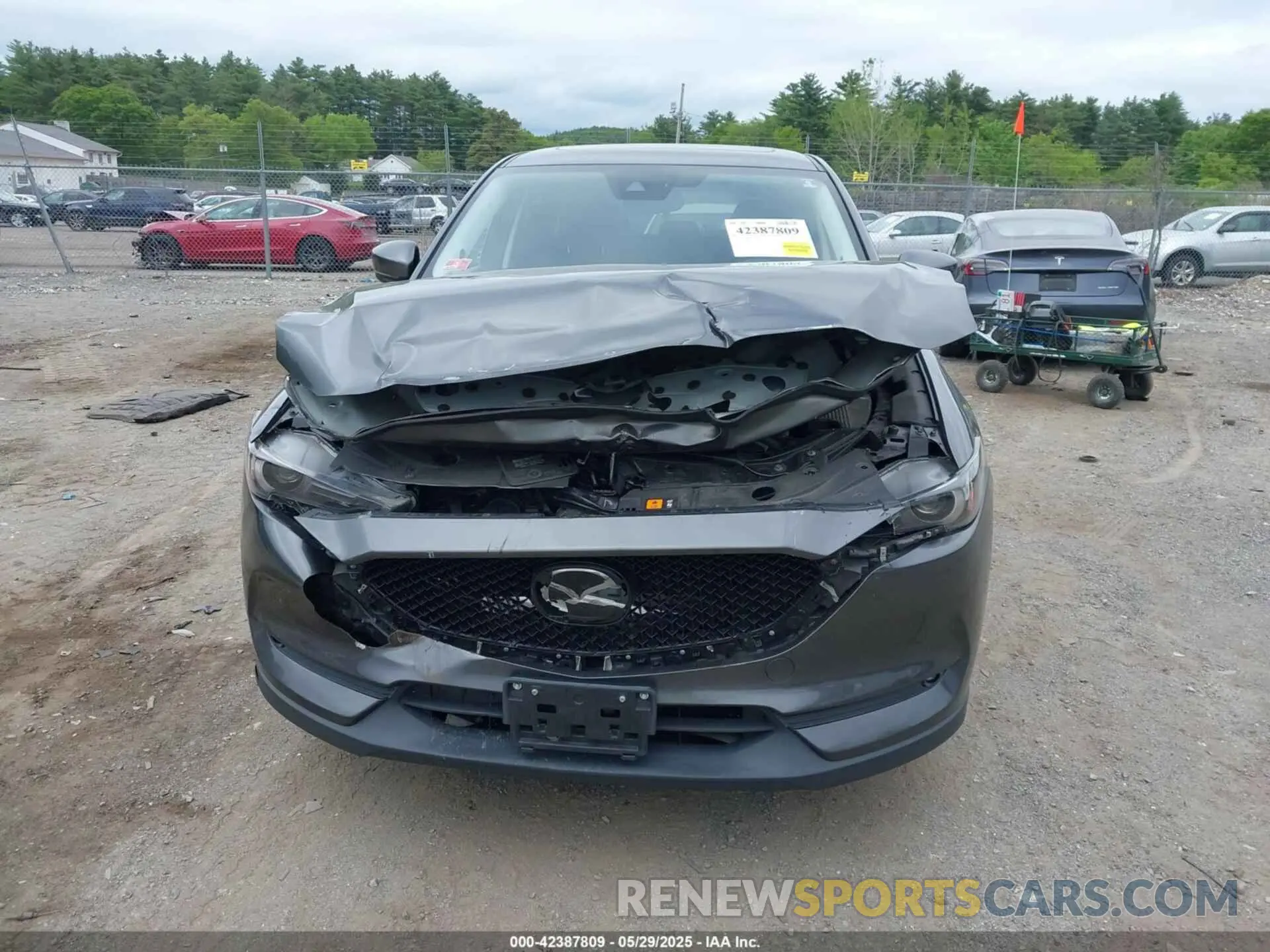 12 Photograph of a damaged car JM3KFBDM9K0610943 MAZDA CX-5 2019