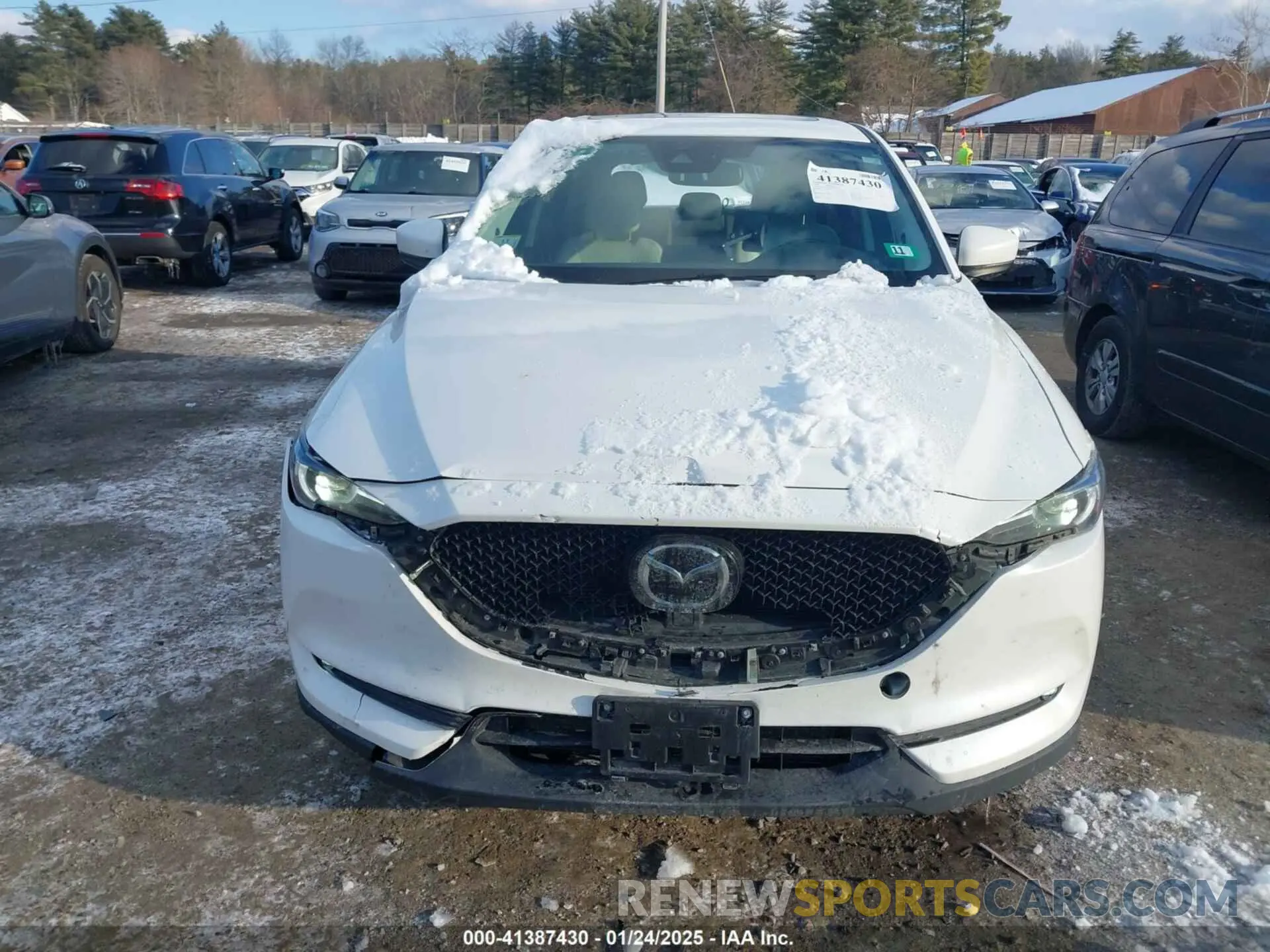 12 Photograph of a damaged car JM3KFBDY2K0606557 MAZDA CX-5 2019