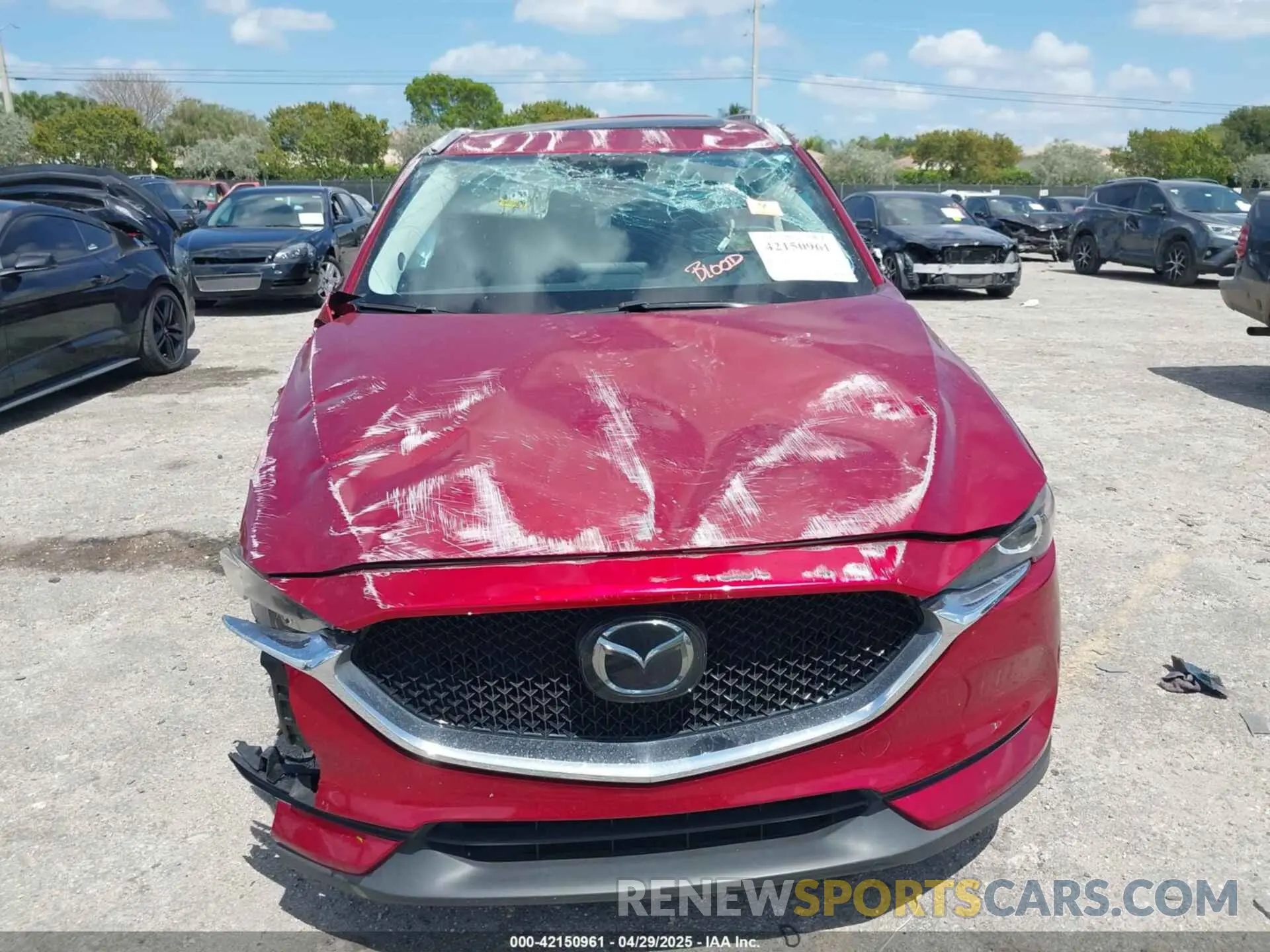 12 Photograph of a damaged car JM3KFACM6L1829642 MAZDA CX-5 2020