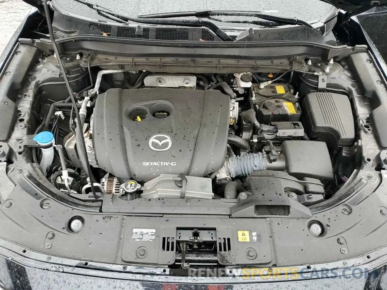 13 Photograph of a damaged car JM3KFBBM8L0740443 MAZDA CX-5 2020
