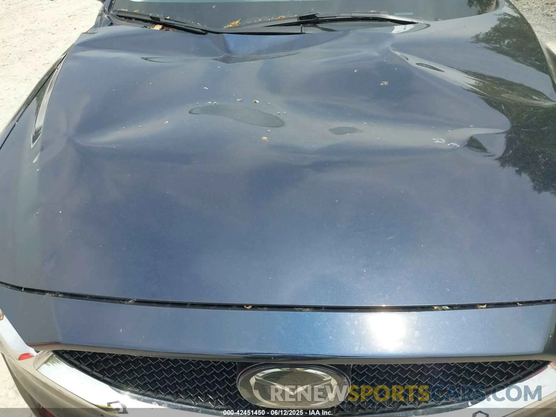 6 Photograph of a damaged car JM3KFBDMXL1742847 MAZDA CX-5 2020