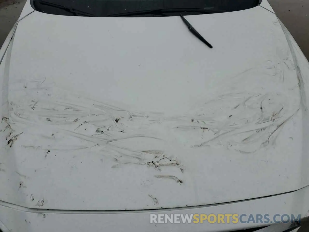 13 Photograph of a damaged car JM3KFACM4M0336131 MAZDA CX-5 2021