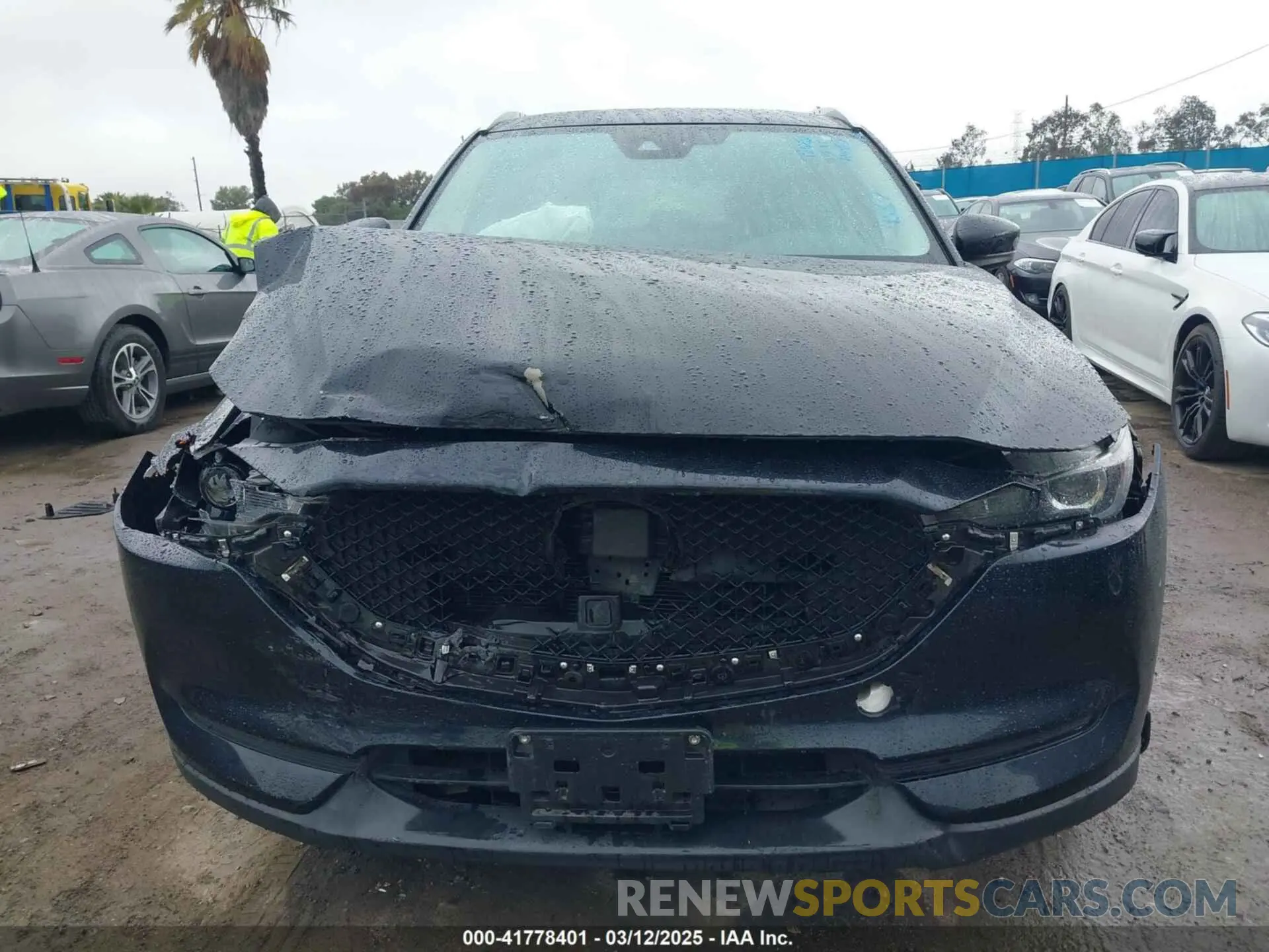12 Photograph of a damaged car JM3KFACM5M0314557 MAZDA CX-5 2021