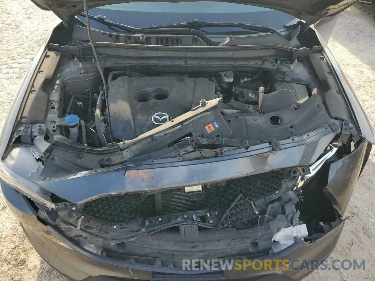 14 Photograph of a damaged car JM3KFACM7M1390100 MAZDA CX-5 2021
