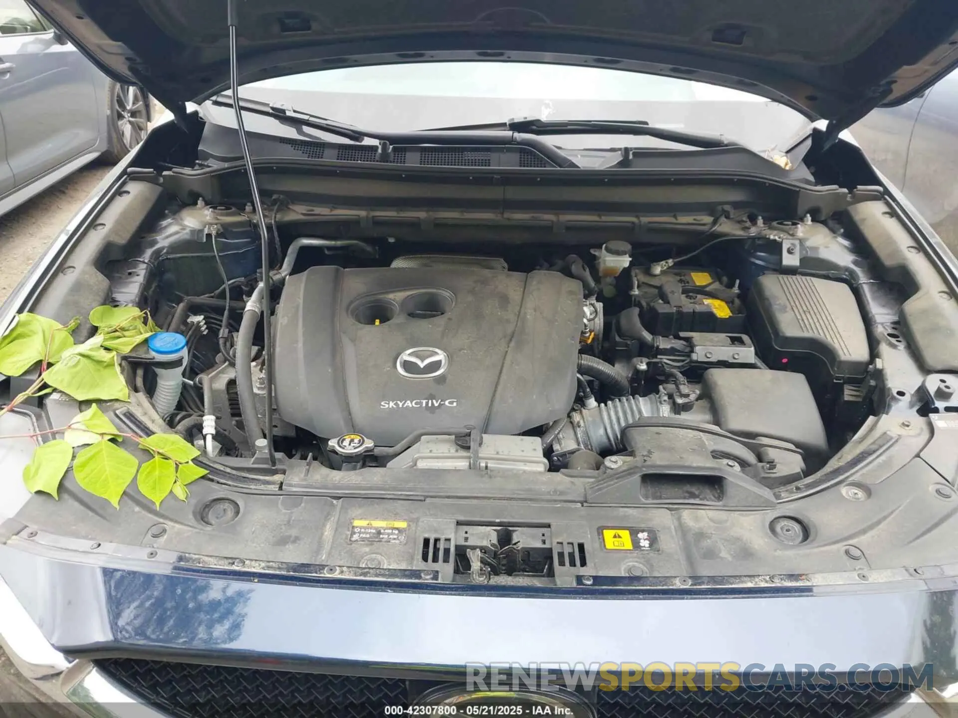 10 Photograph of a damaged car JM3KFBDM6M1300584 MAZDA CX-5 2021