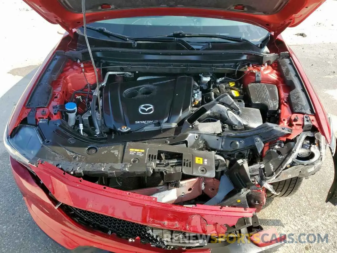 12 Photograph of a damaged car JM3KFBDM9M0490614 MAZDA CX-5 2021