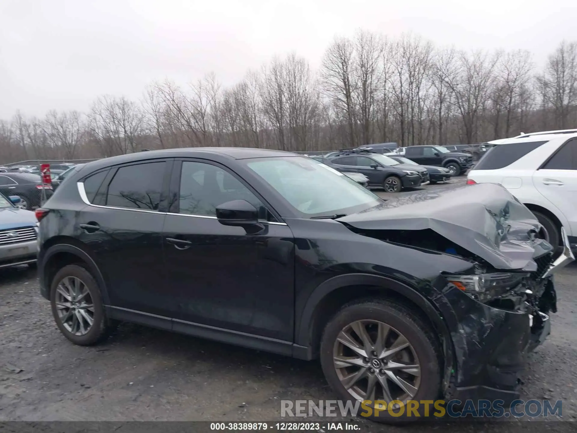 13 Photograph of a damaged car JM3KFBEY6M0429268 MAZDA CX-5 2021