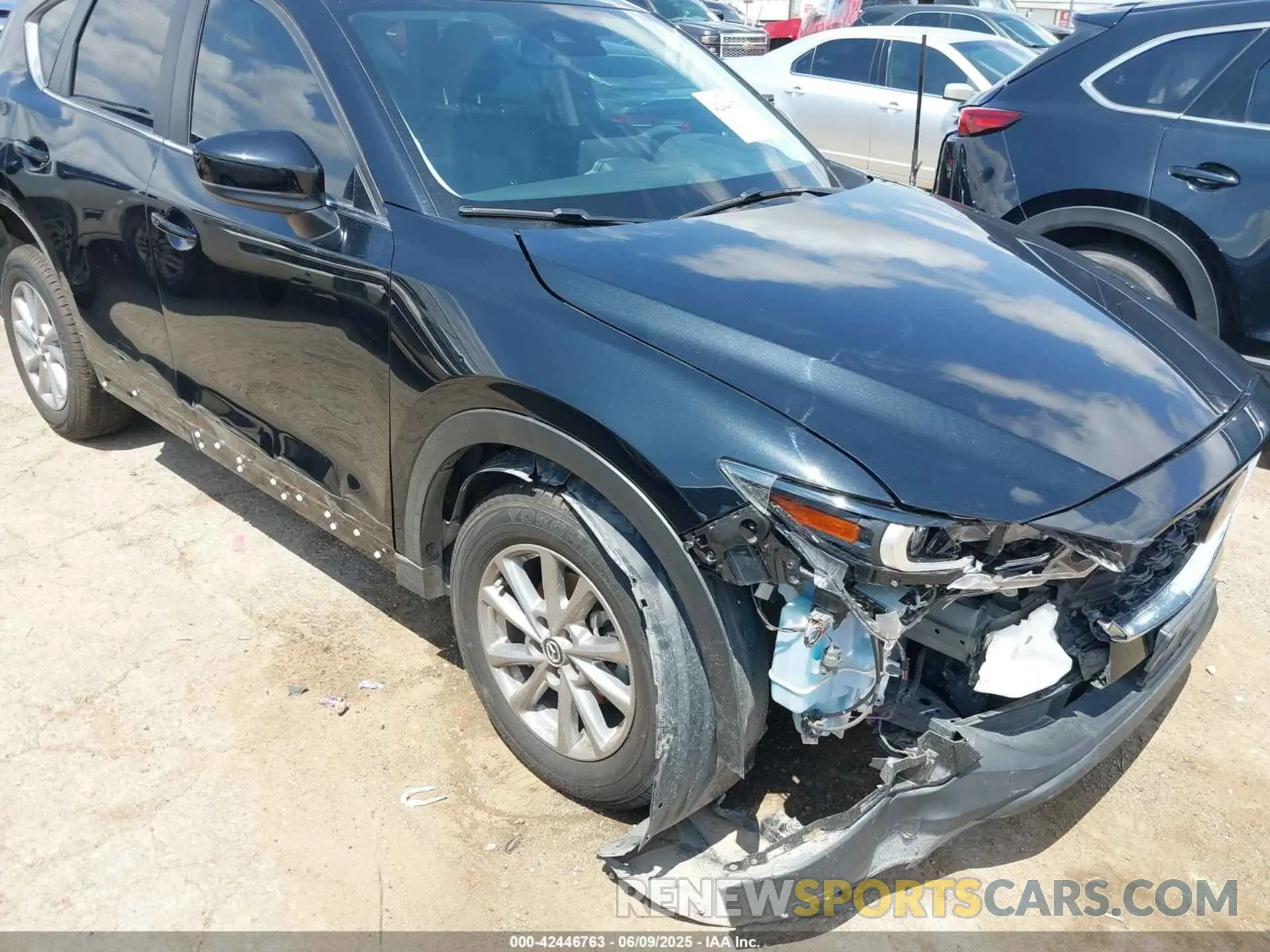 6 Photograph of a damaged car JM3KFBCM9N0607031 MAZDA CX-5 2022