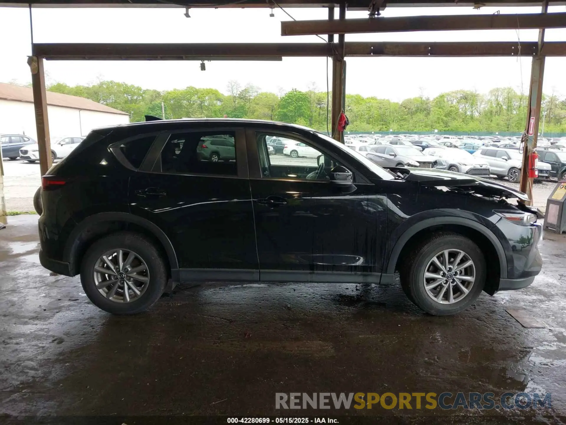 13 Photograph of a damaged car JM3KFBCMXN0619849 MAZDA CX-5 2022