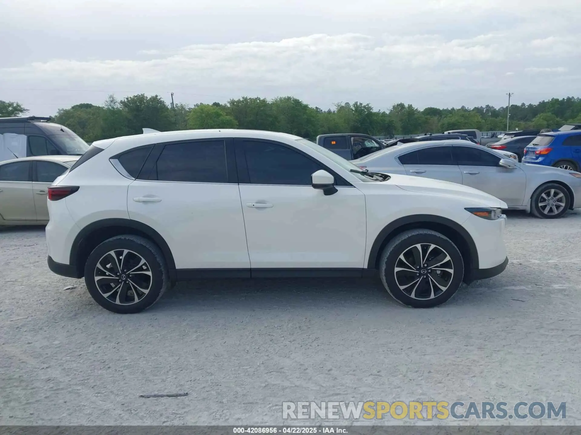 13 Photograph of a damaged car JM3KFBEM5N1579297 MAZDA CX-5 2022