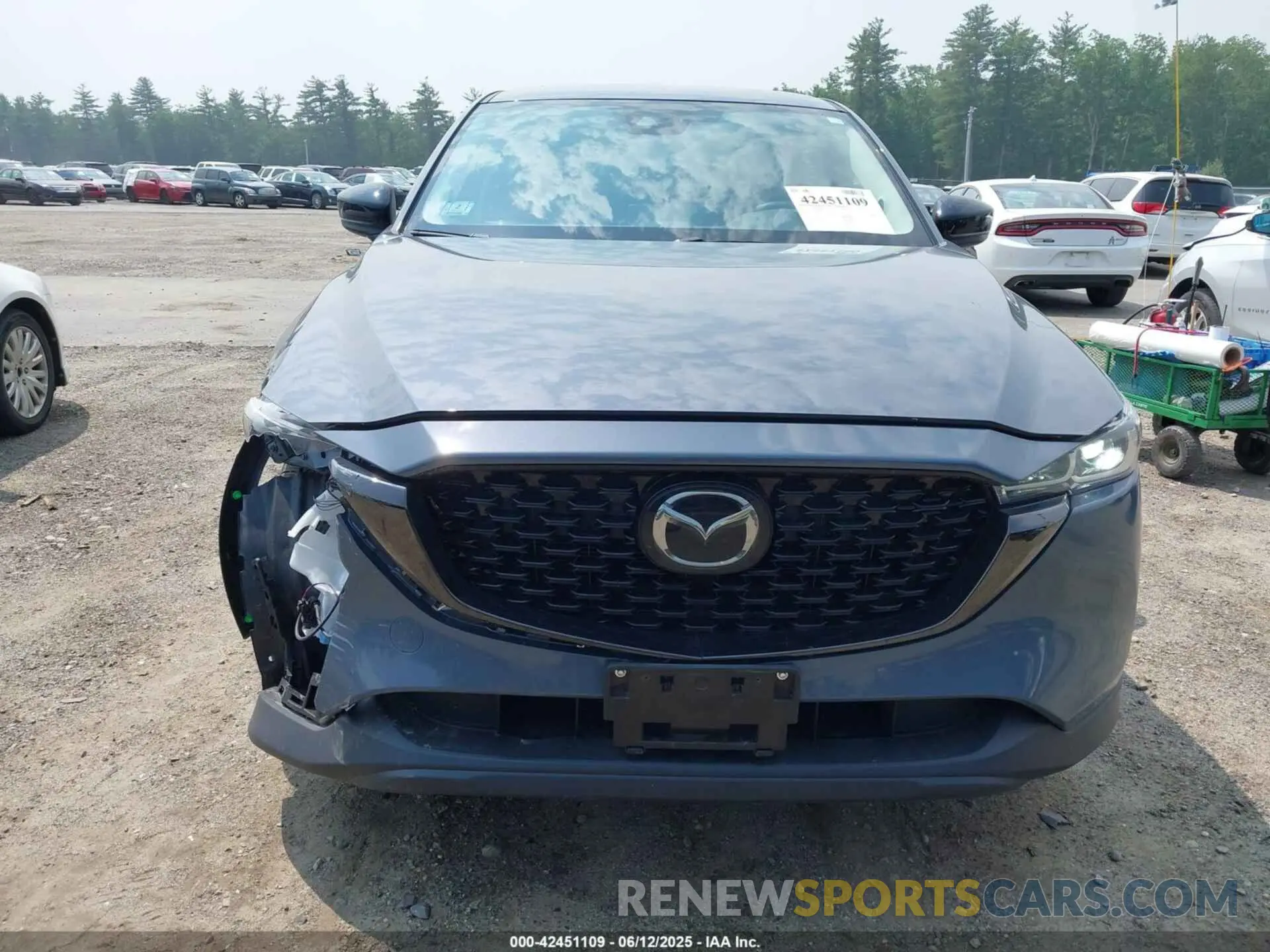 12 Photograph of a damaged car JM3KFBCM5P0179462 MAZDA CX-5 2023