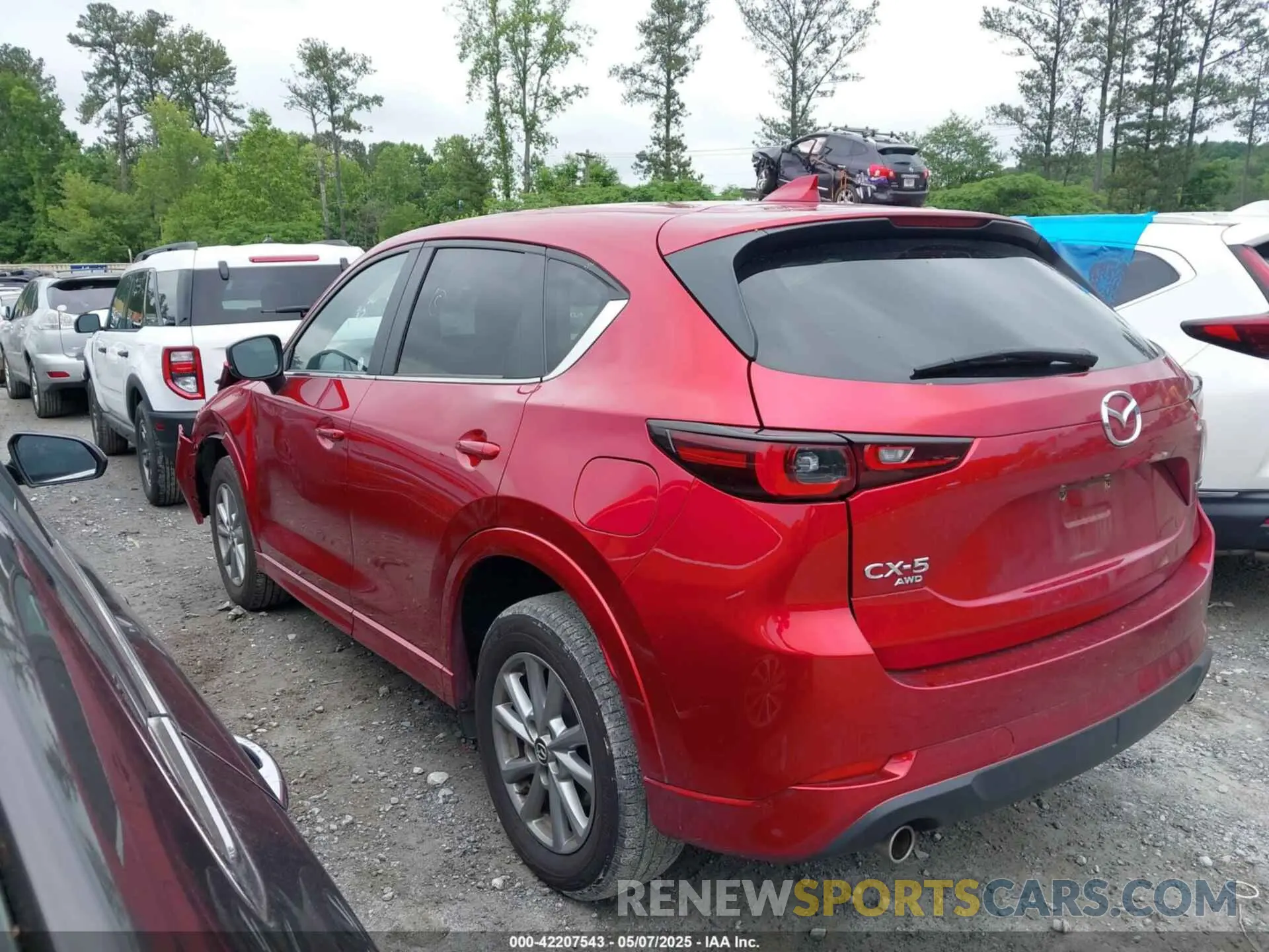 14 Photograph of a damaged car JM3KFBBL0R0435650 MAZDA CX-5 2024