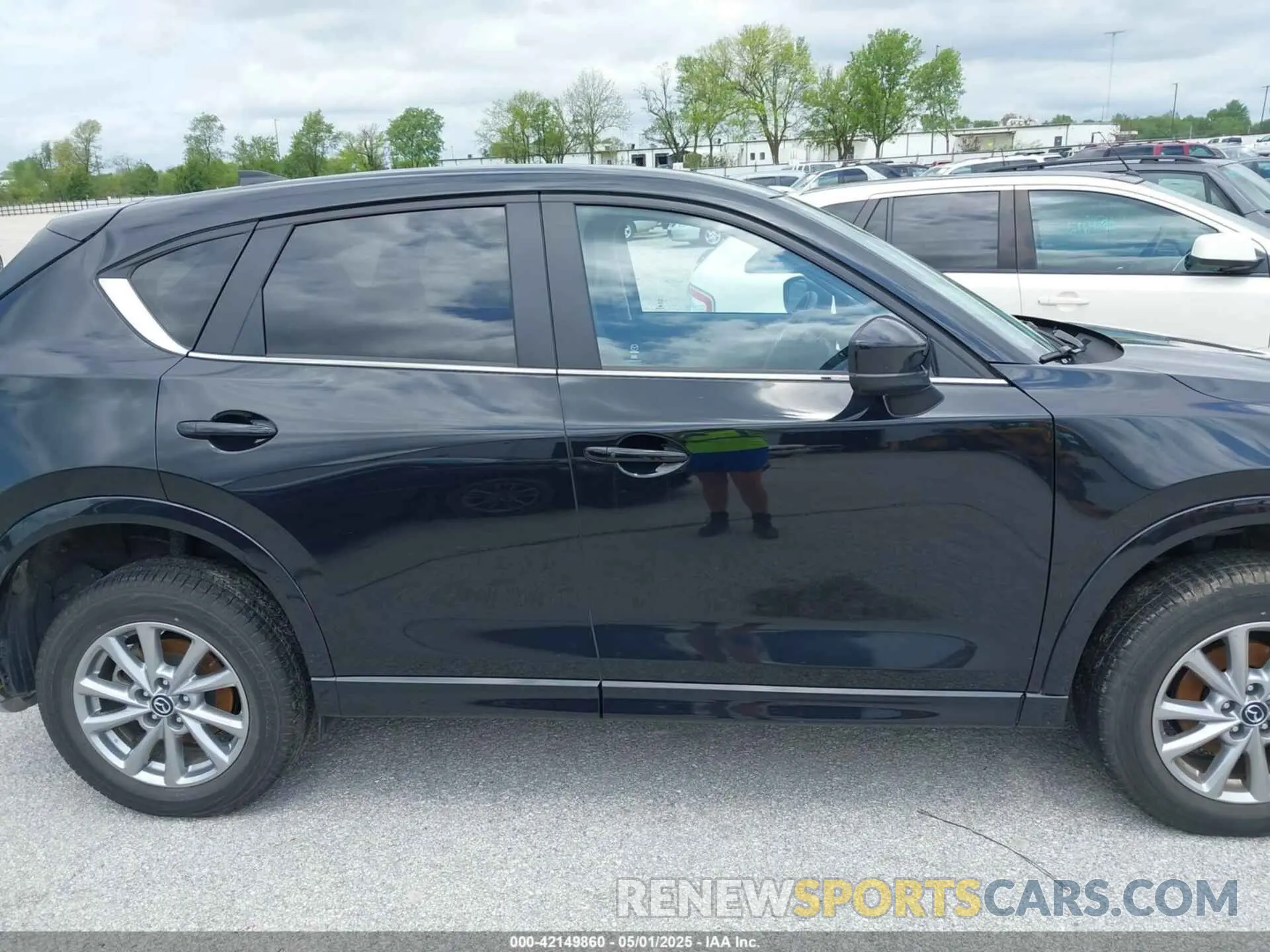 14 Photograph of a damaged car JM3KFBBL1R0503003 MAZDA CX-5 2024