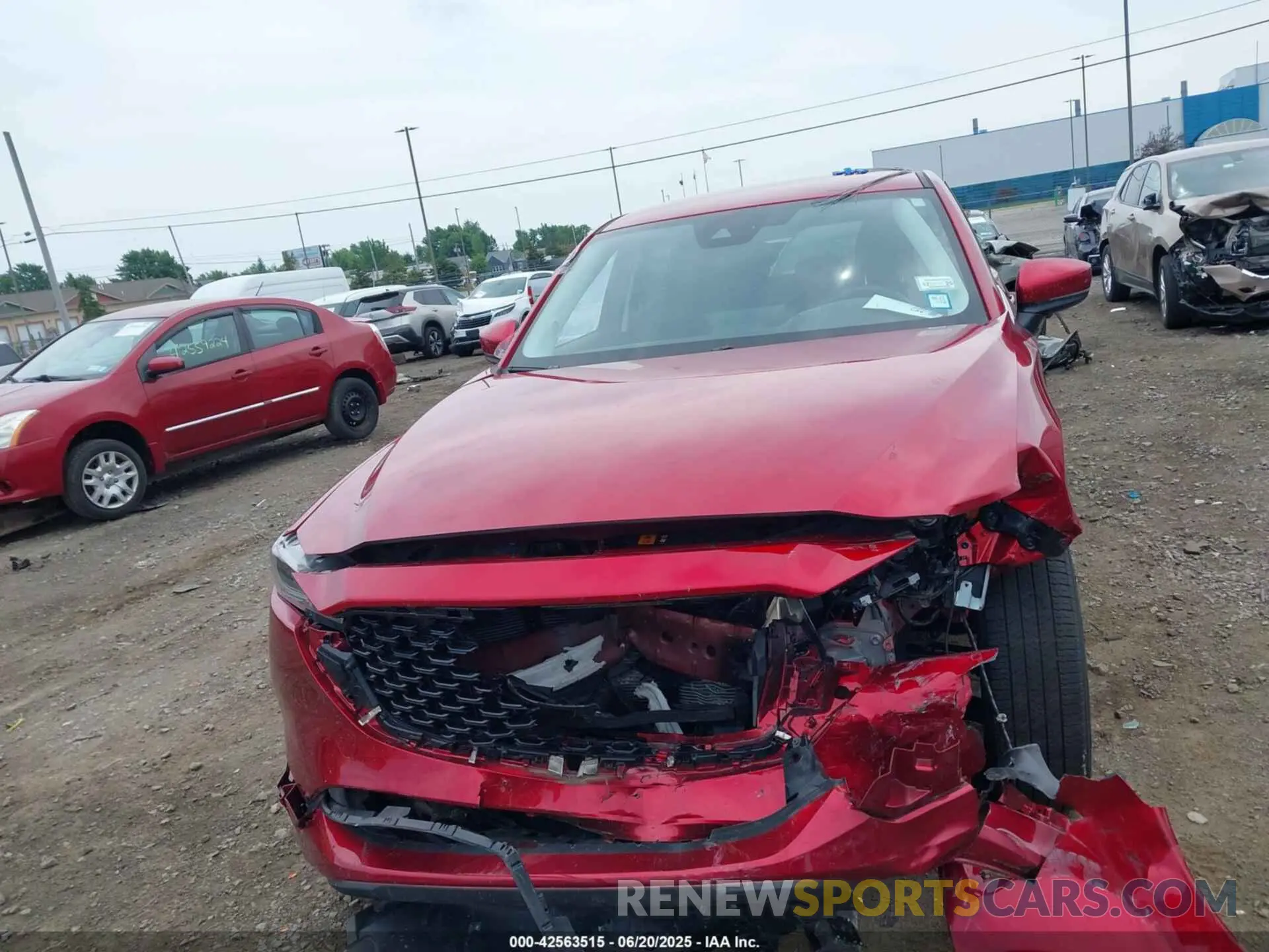 12 Photograph of a damaged car JM3KFBBL6R0410350 MAZDA CX-5 2024