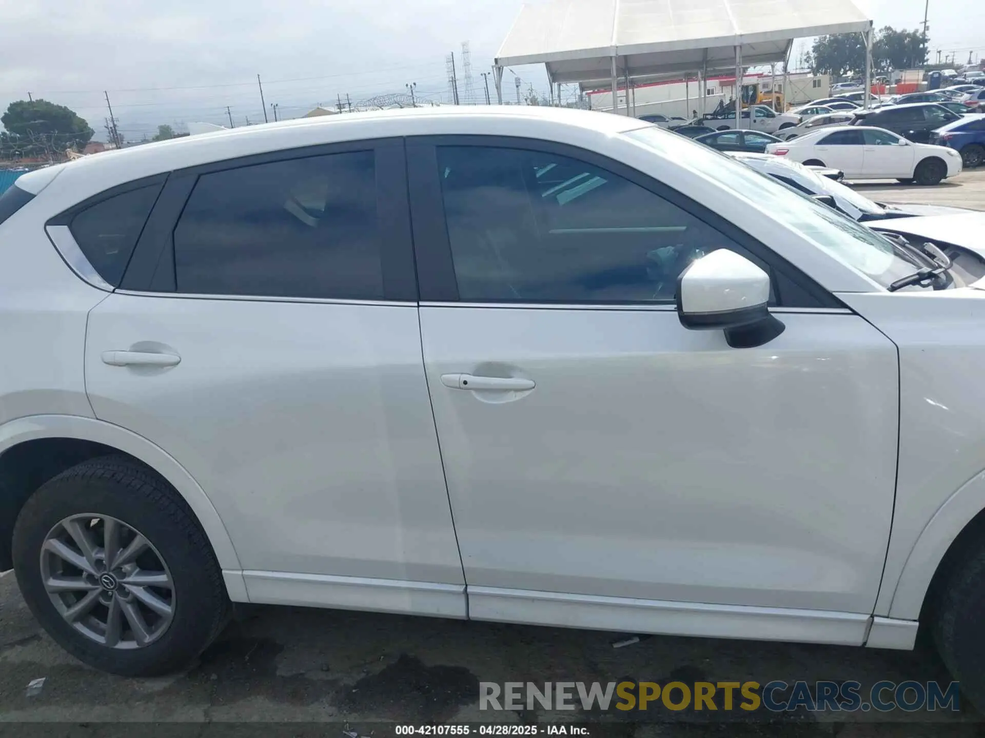 14 Photograph of a damaged car JM3KFBBL8R0433886 MAZDA CX-5 2024