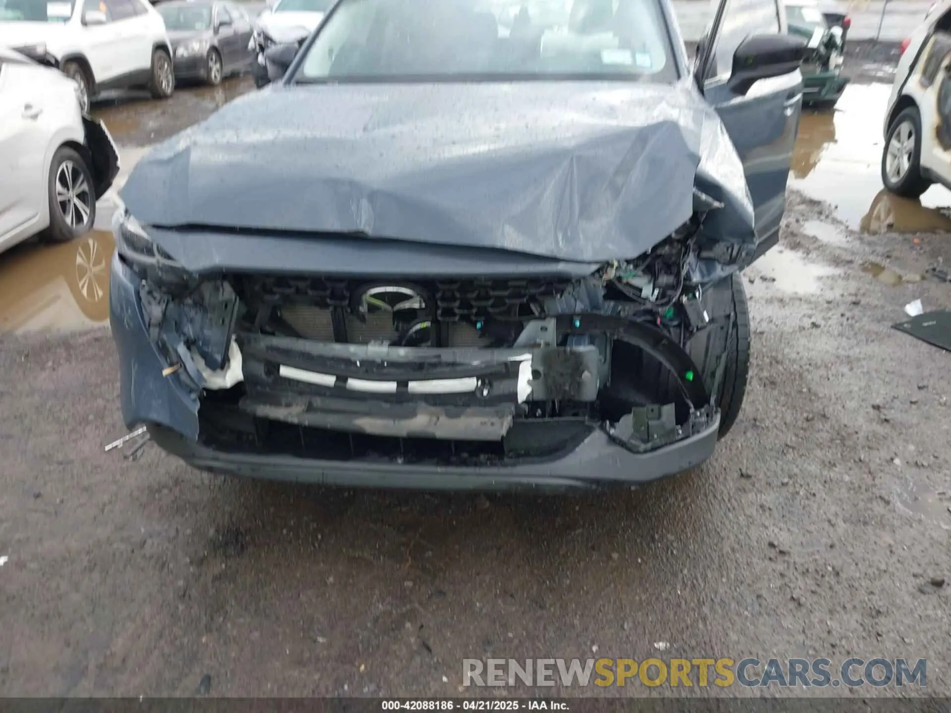 6 Photograph of a damaged car JM3KFBCL1R0470051 MAZDA CX-5 2024