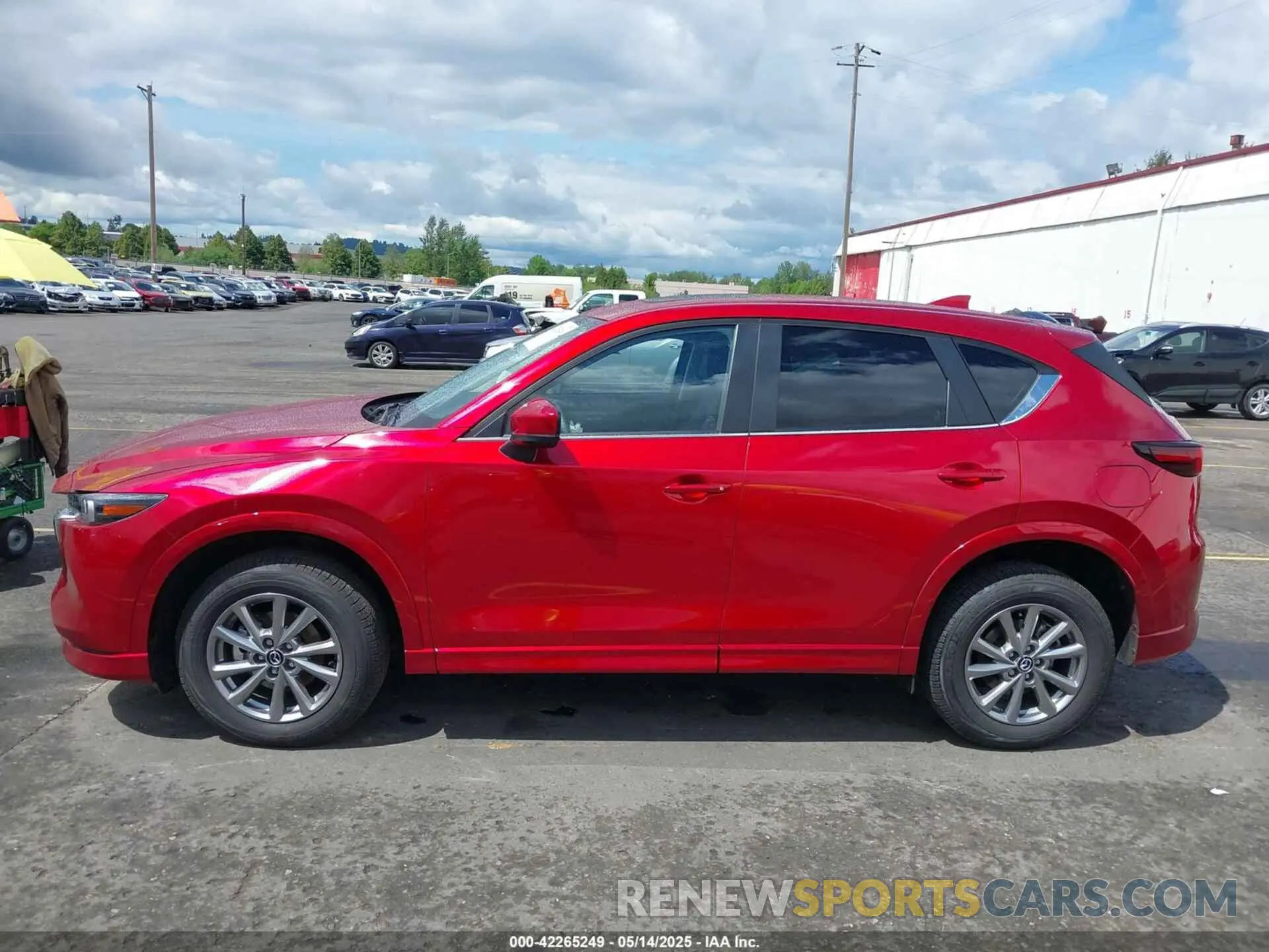 14 Photograph of a damaged car JM3KFBCL5R0486978 MAZDA CX-5 2024