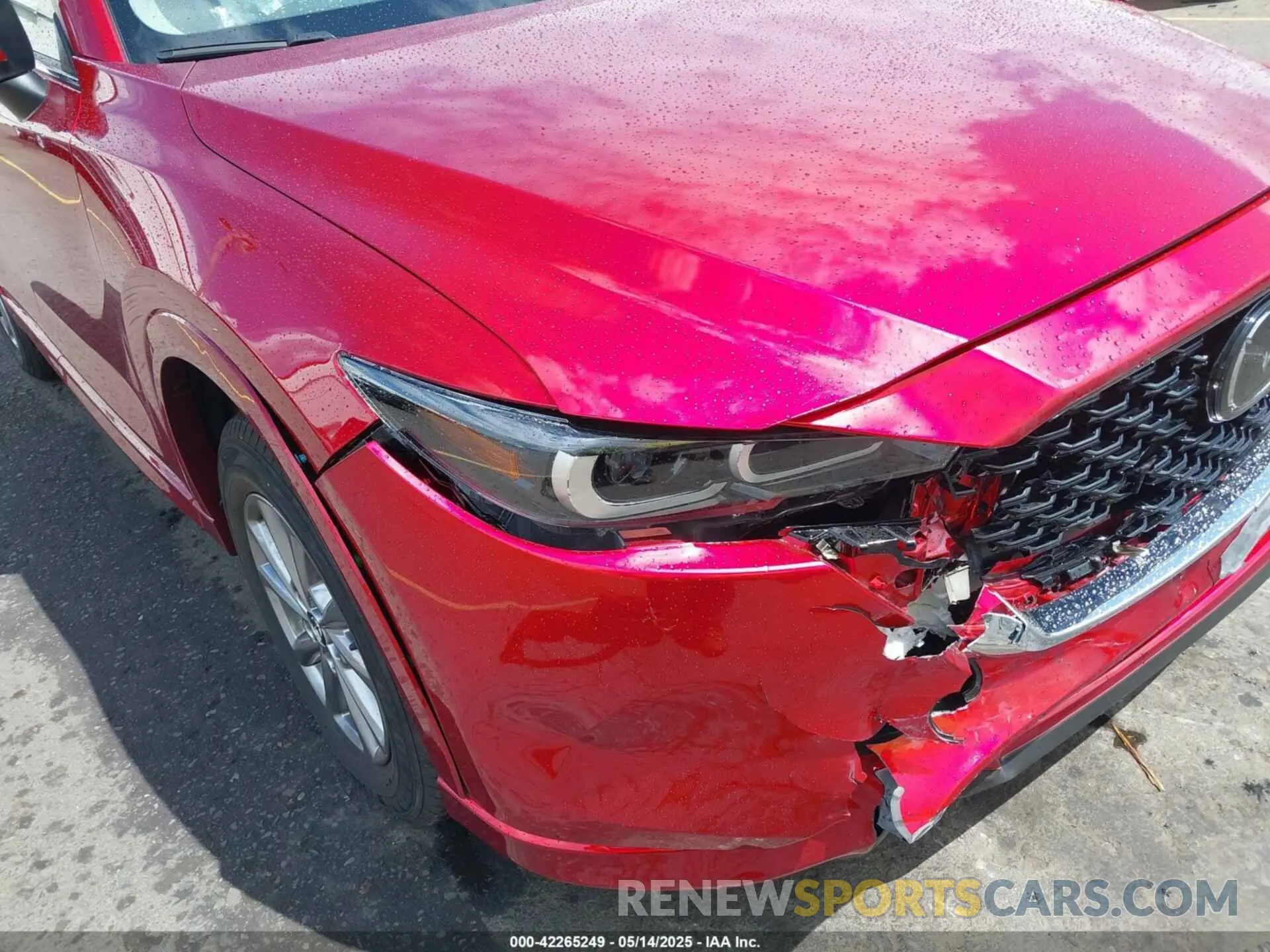 19 Photograph of a damaged car JM3KFBCL5R0486978 MAZDA CX-5 2024