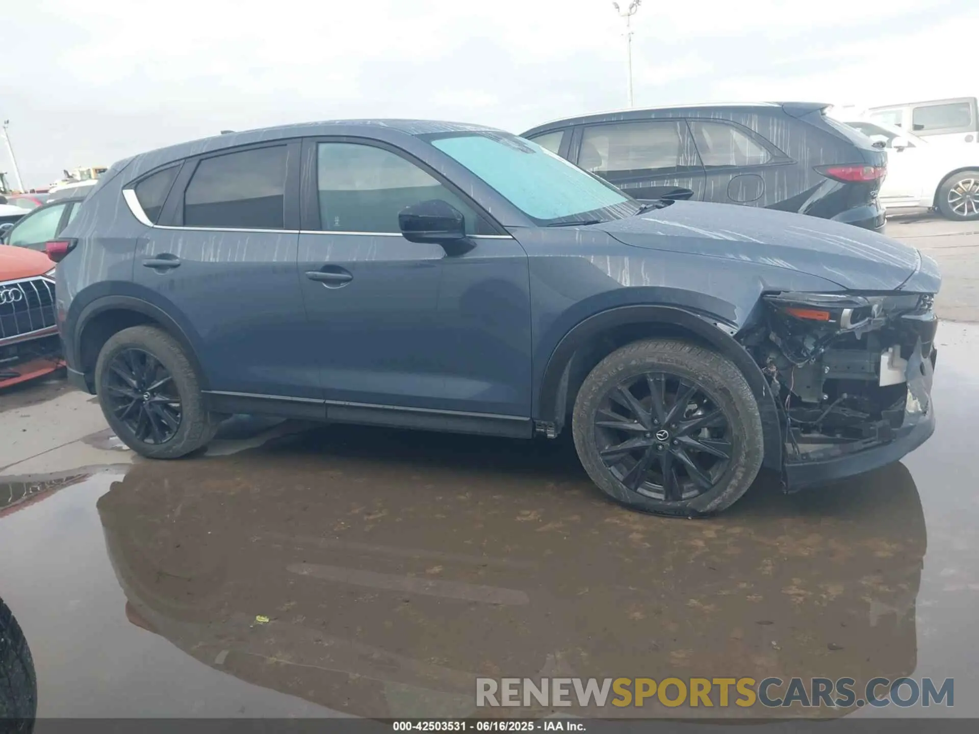 13 Photograph of a damaged car JM3KFBCLXR0503659 MAZDA CX-5 2024