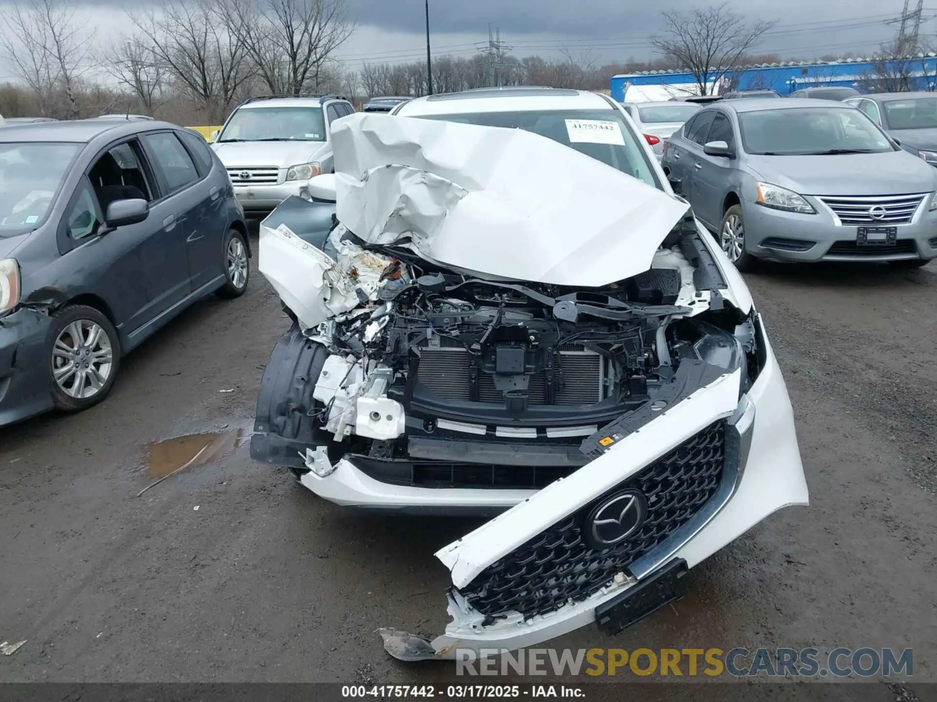 12 Photograph of a damaged car JM3KFBDMXR0401172 MAZDA CX-5 2024