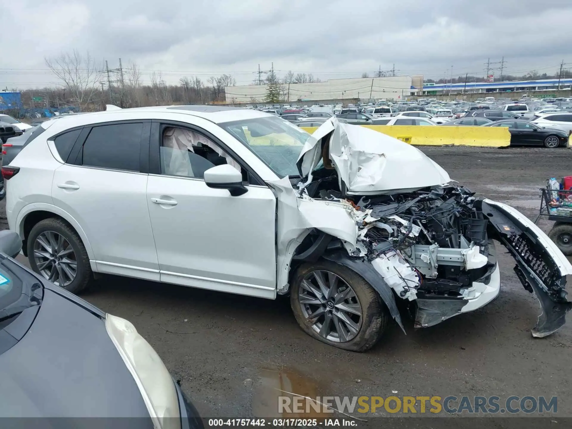 13 Photograph of a damaged car JM3KFBDMXR0401172 MAZDA CX-5 2024