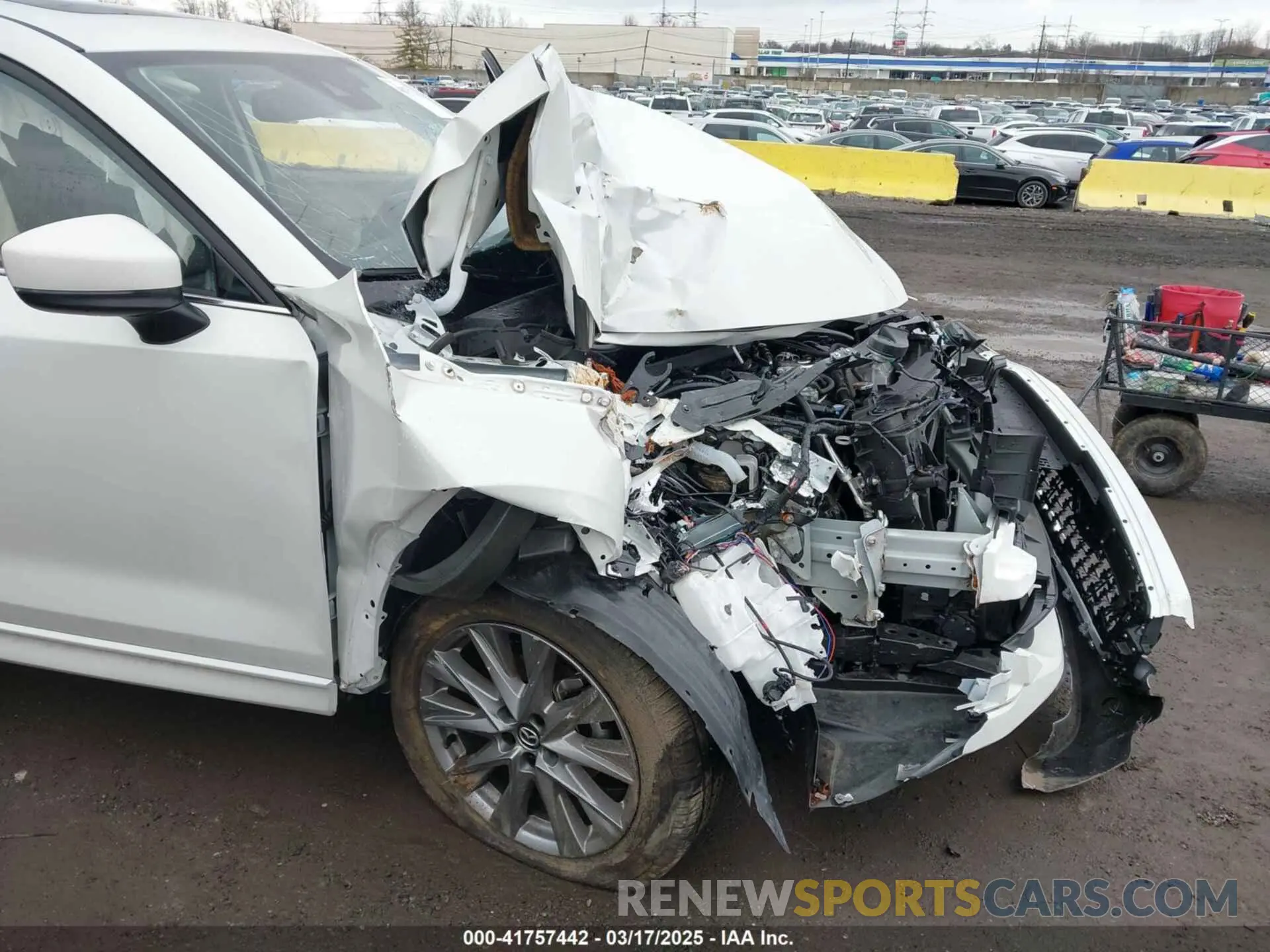17 Photograph of a damaged car JM3KFBDMXR0401172 MAZDA CX-5 2024