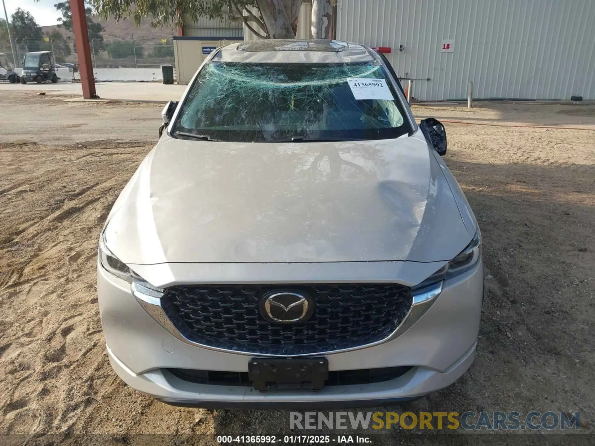 12 Photograph of a damaged car JM3KFBEL7R0497137 MAZDA CX-5 2024