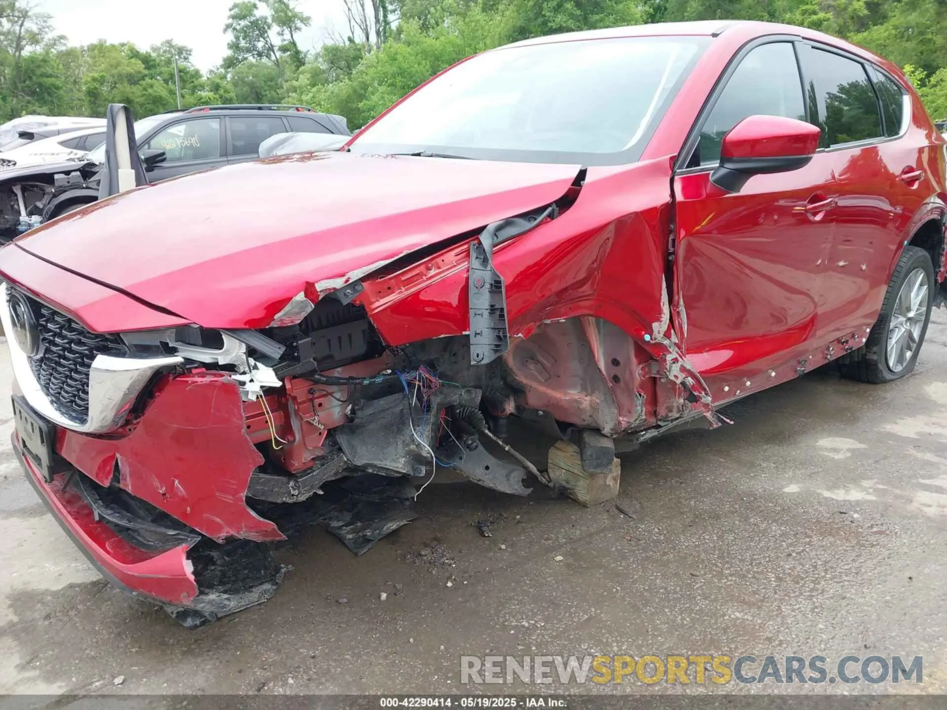 6 Photograph of a damaged car JM3KFBELXR0530129 MAZDA CX-5 2024
