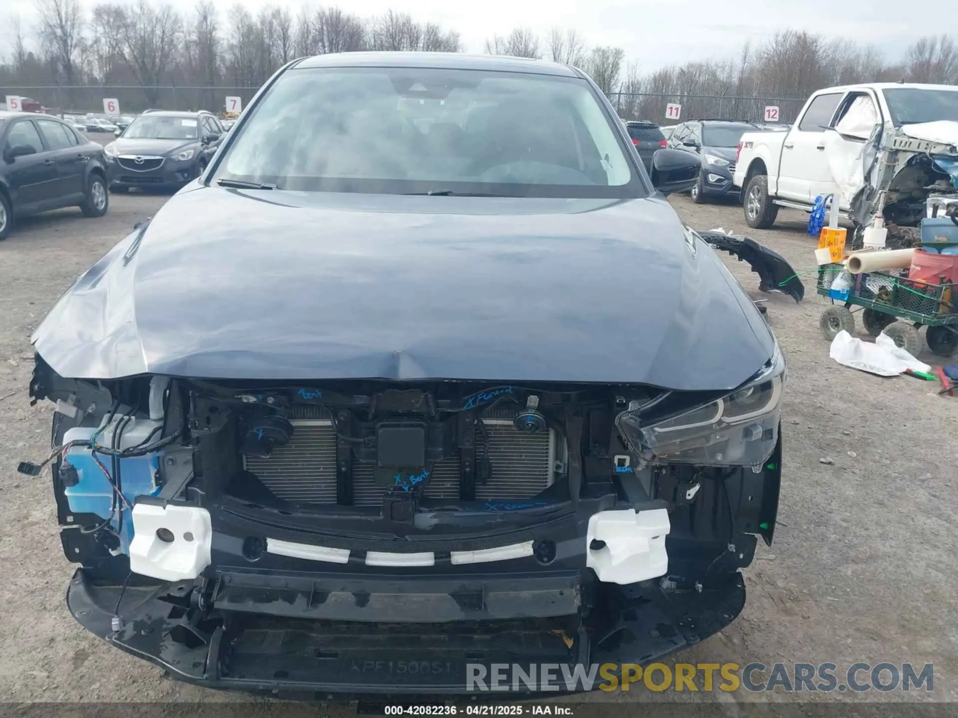 13 Photograph of a damaged car JM3KFBCM2S0560730 MAZDA CX-5 2025