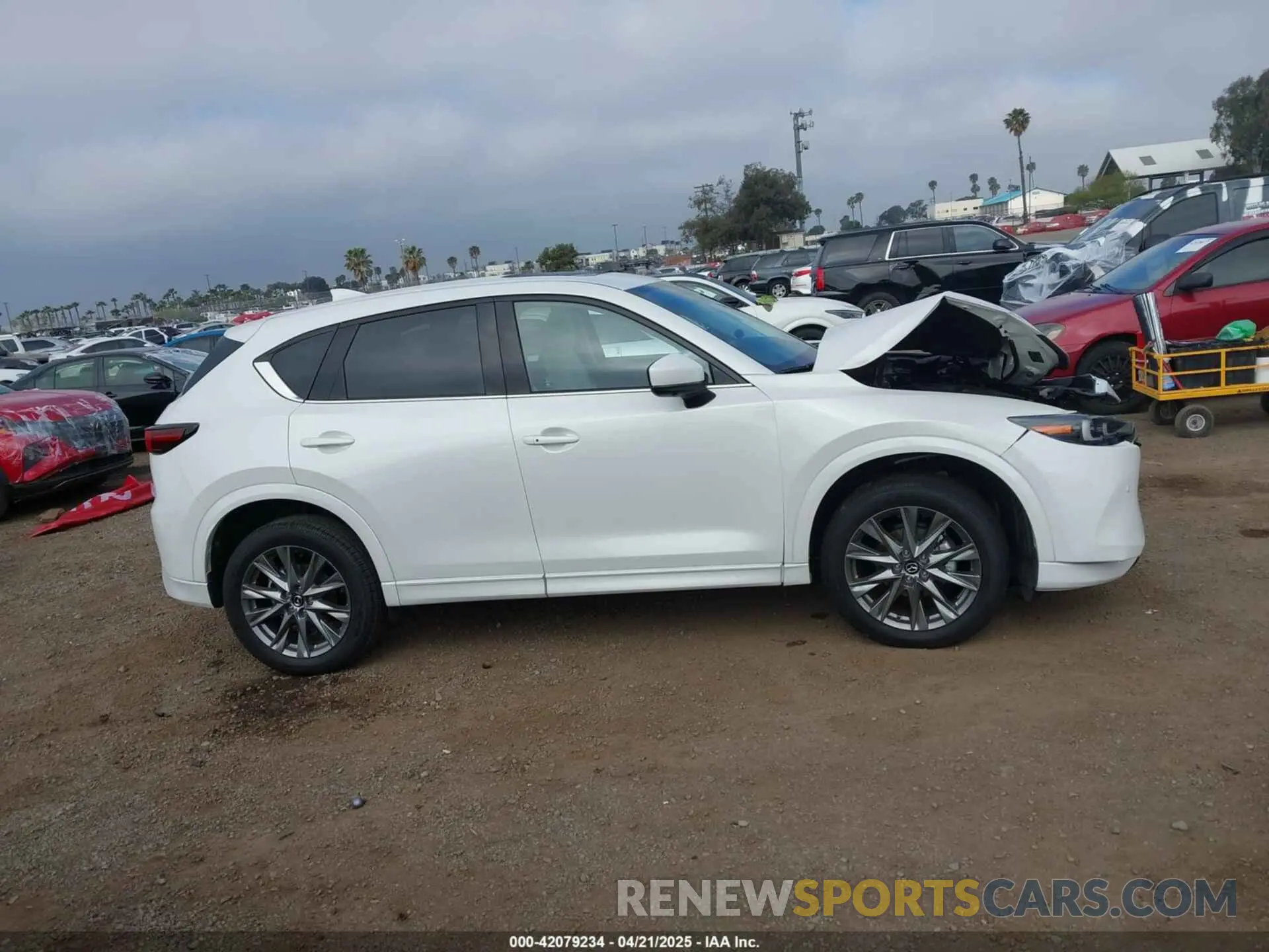 14 Photograph of a damaged car JM3KFBEM2S0637206 MAZDA CX-5 2025