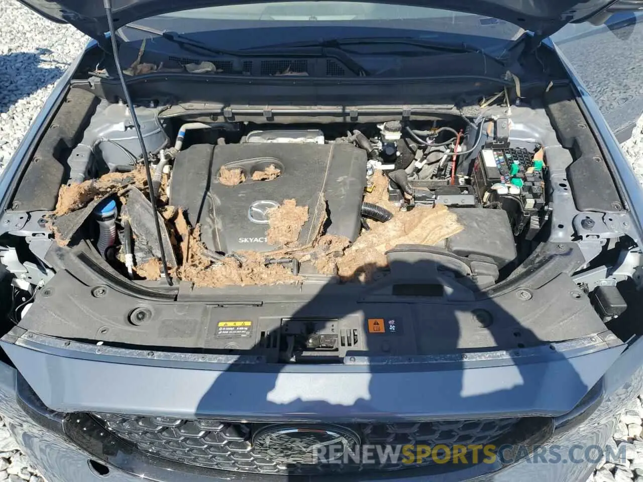 12 Photograph of a damaged car JM3KFBCM6N1574838 MAZDA CX-5 PREFE 2022