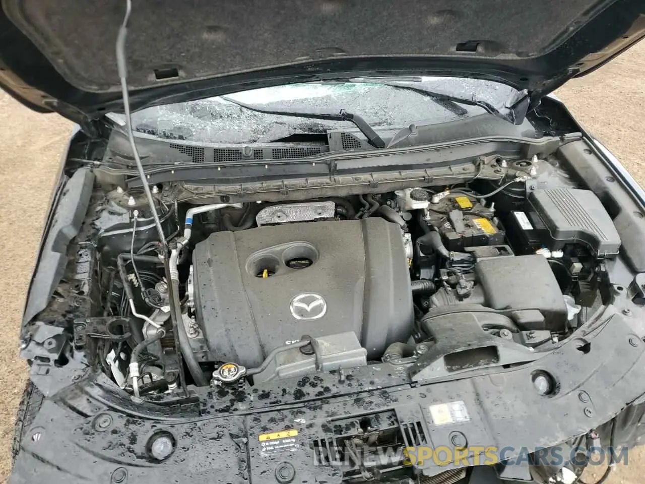 12 Photograph of a damaged car JM3KFBCM8P0113228 MAZDA CX-5 PREFE 2023
