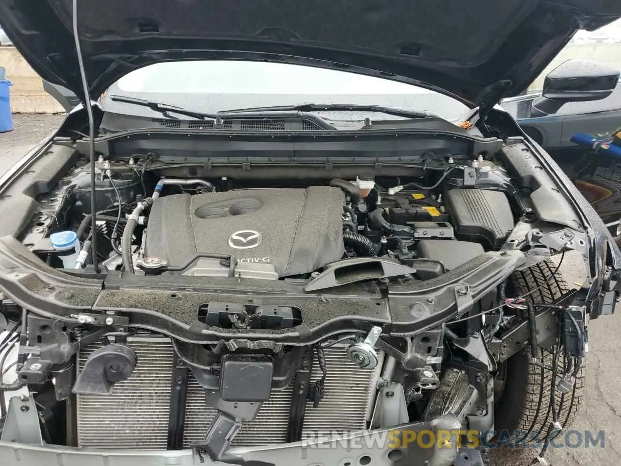 12 Photograph of a damaged car JM3KFBCL1R0489604 MAZDA CX-5 PREFE 2024