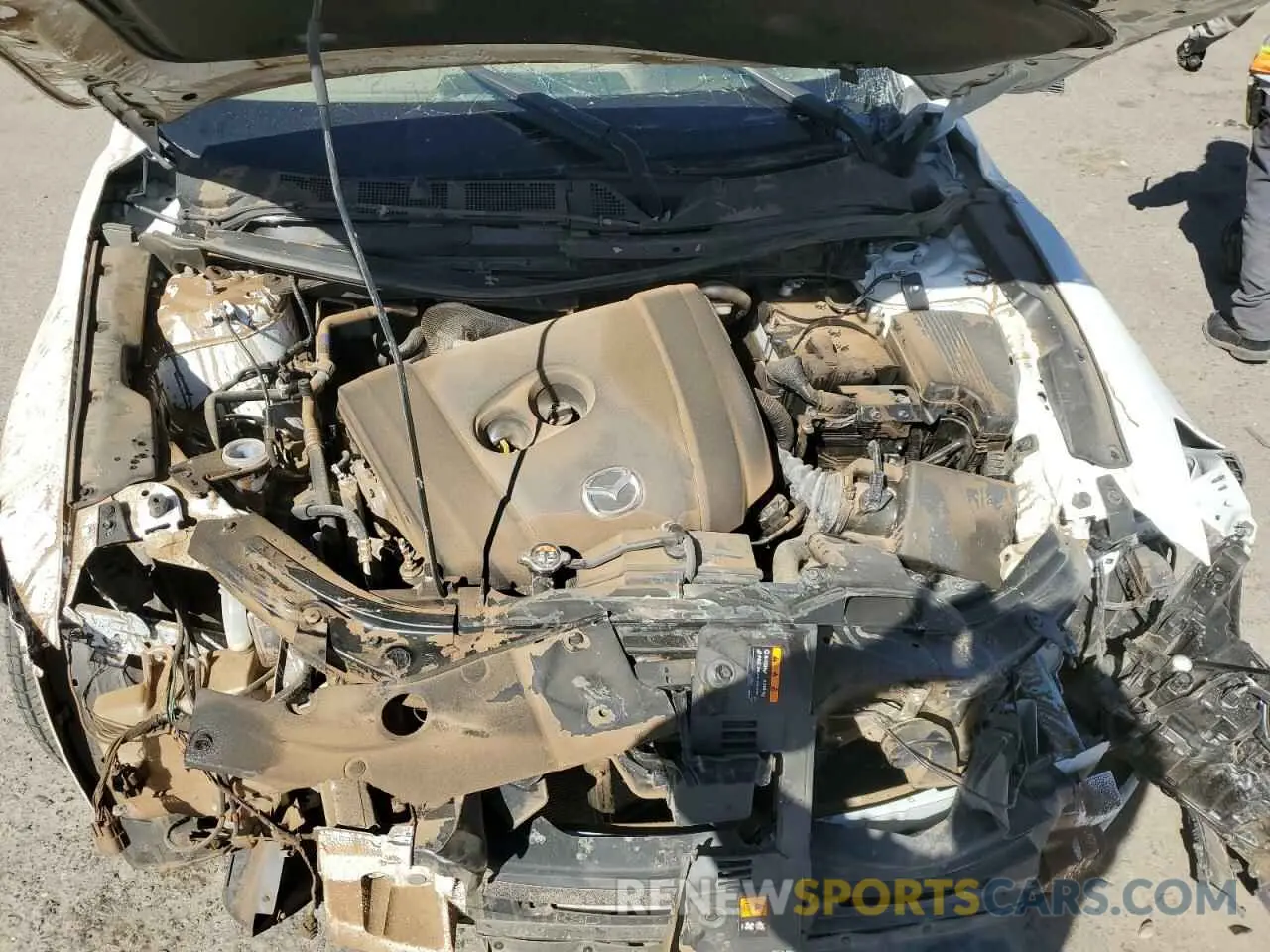 13 Photograph of a damaged car JM3KFBCL4R0428151 MAZDA CX-5 PREFE 2024