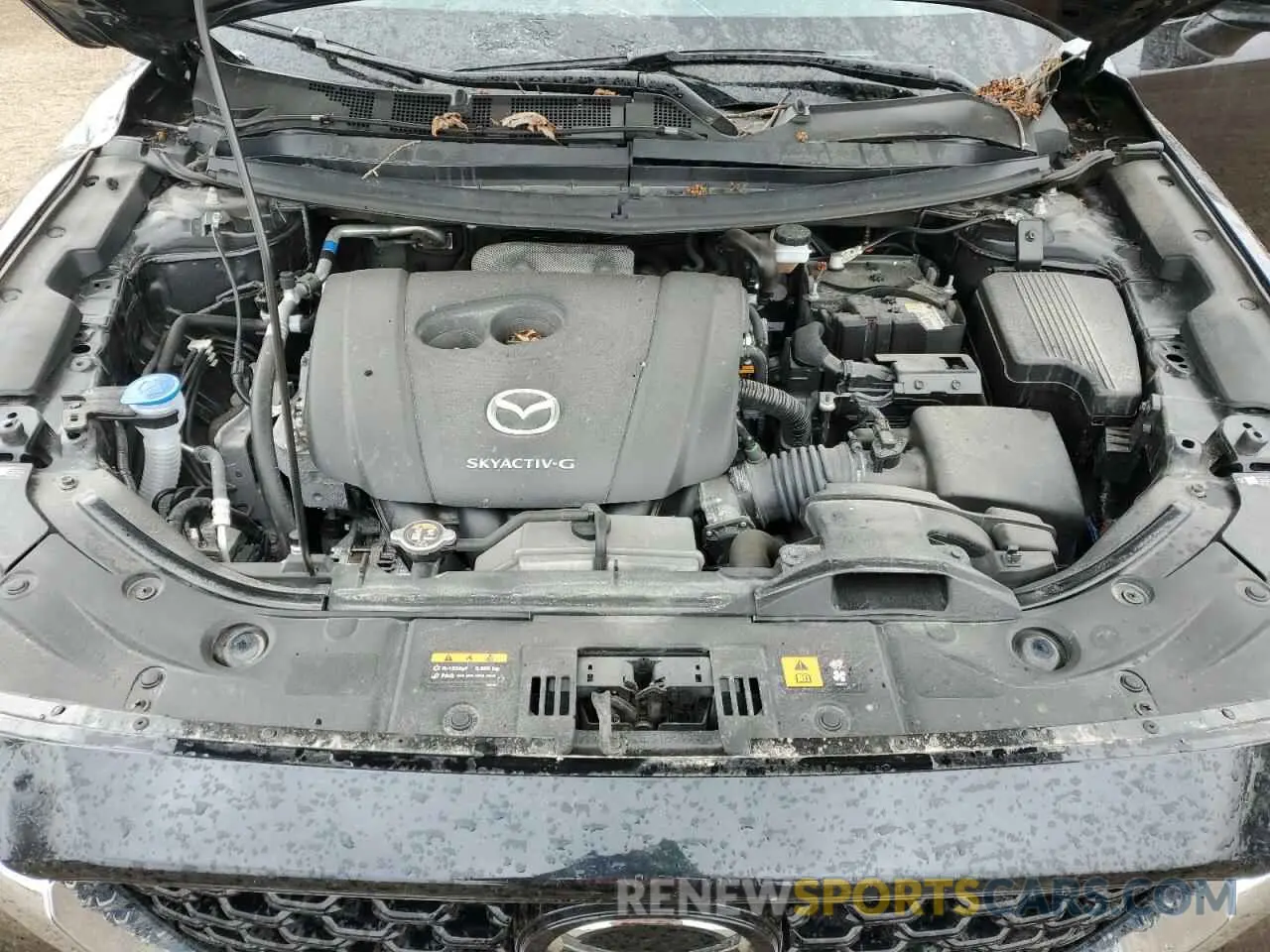 12 Photograph of a damaged car JM3KFBCL5R0452040 MAZDA CX-5 PREFE 2024