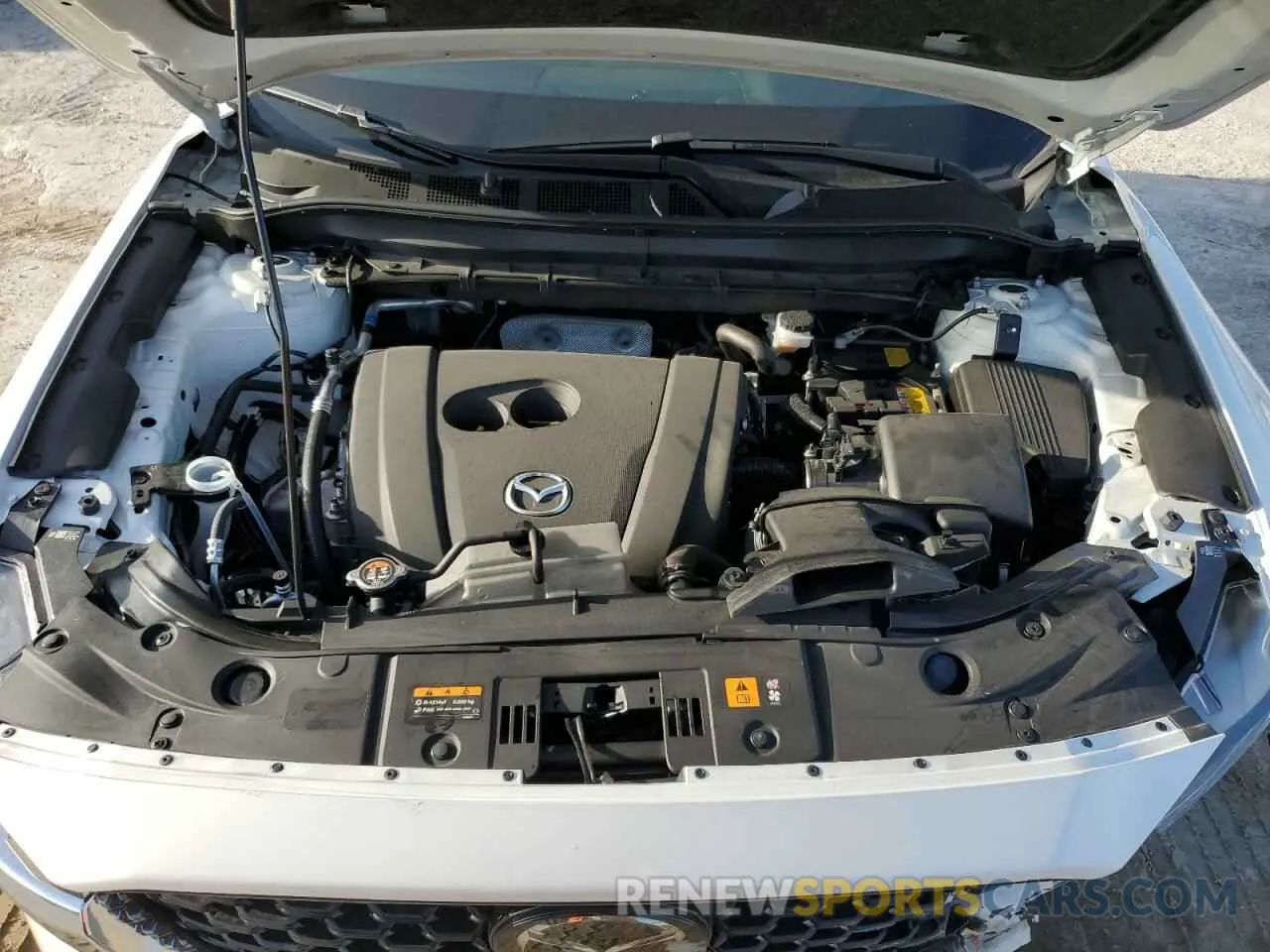 13 Photograph of a damaged car JM3KFBCL9R0505550 MAZDA CX-5 PREFE 2024