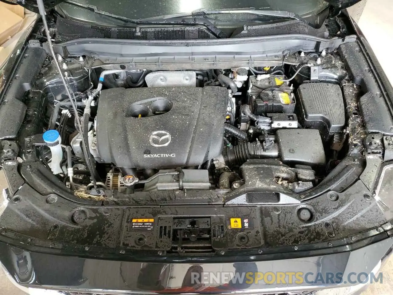 12 Photograph of a damaged car JM3KFBCL8S0651251 MAZDA CX-5 PREFE 2025